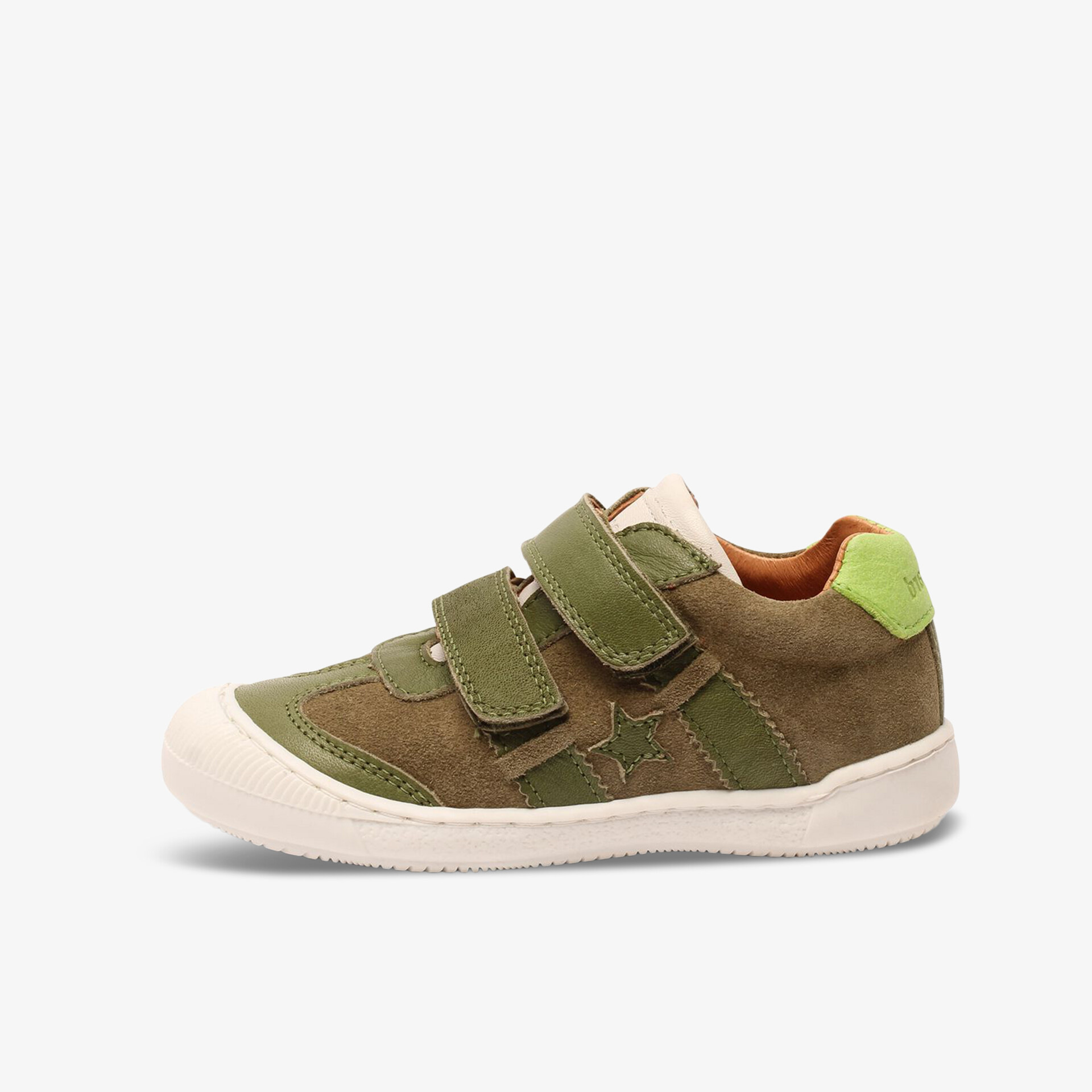 olive1