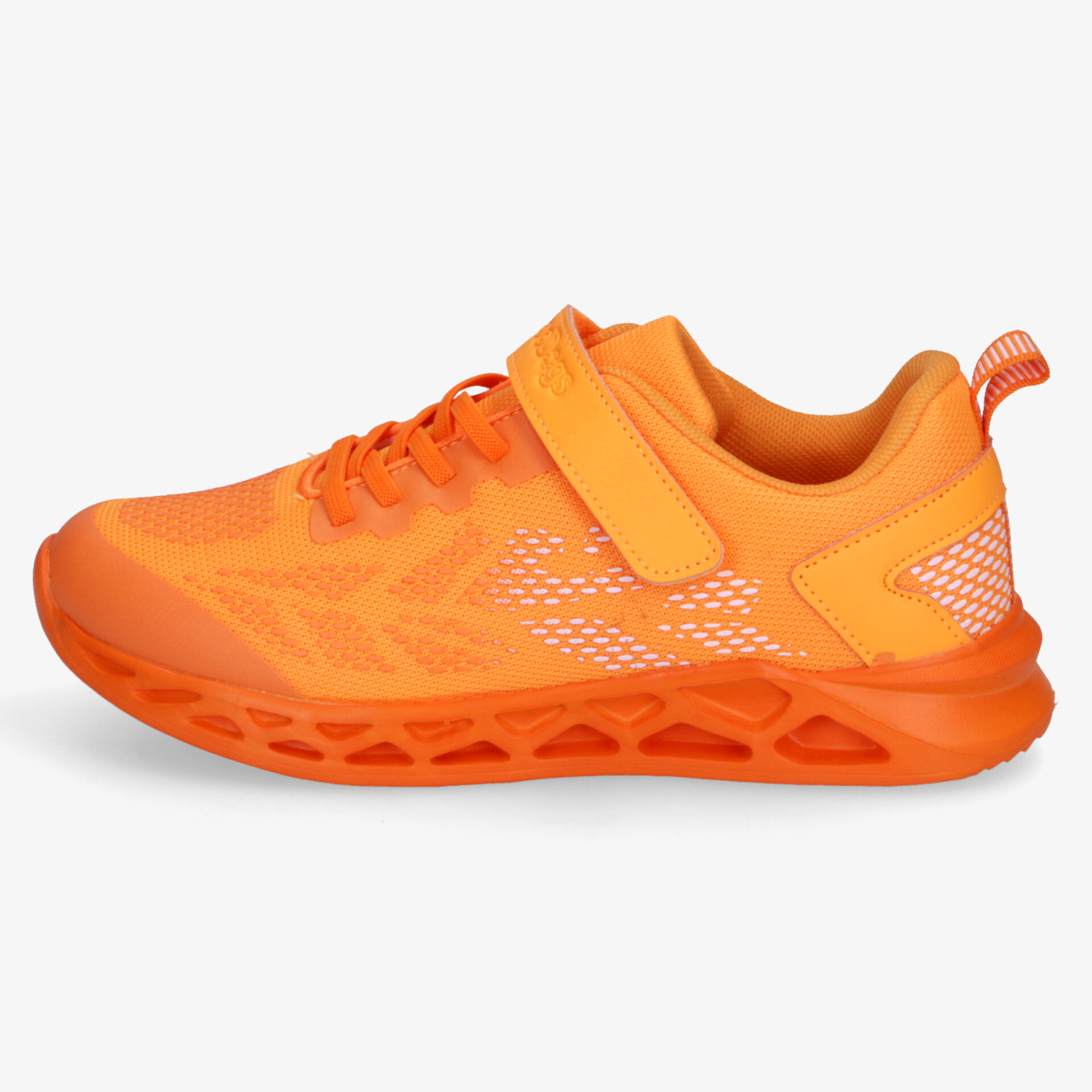 neon1