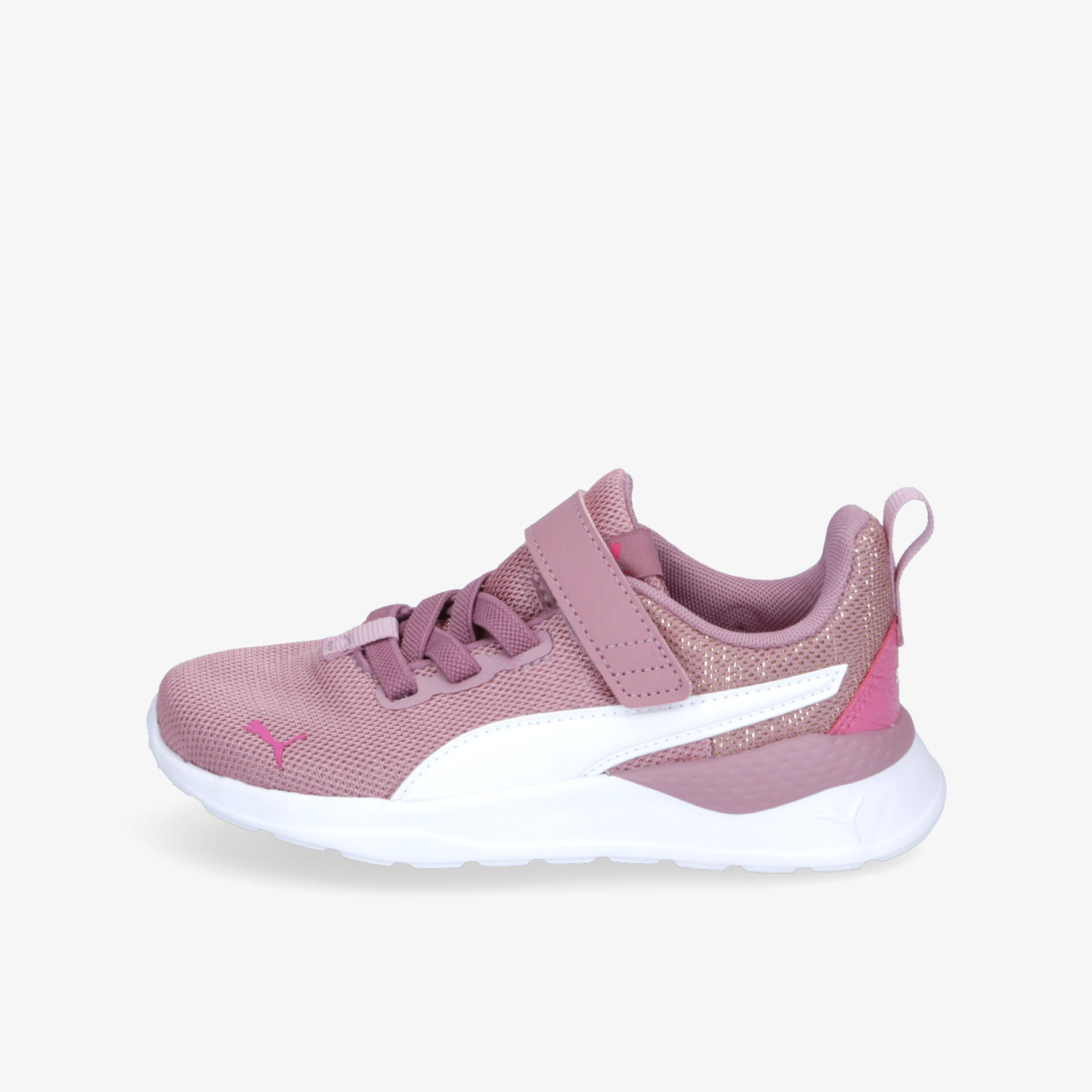 rosa2