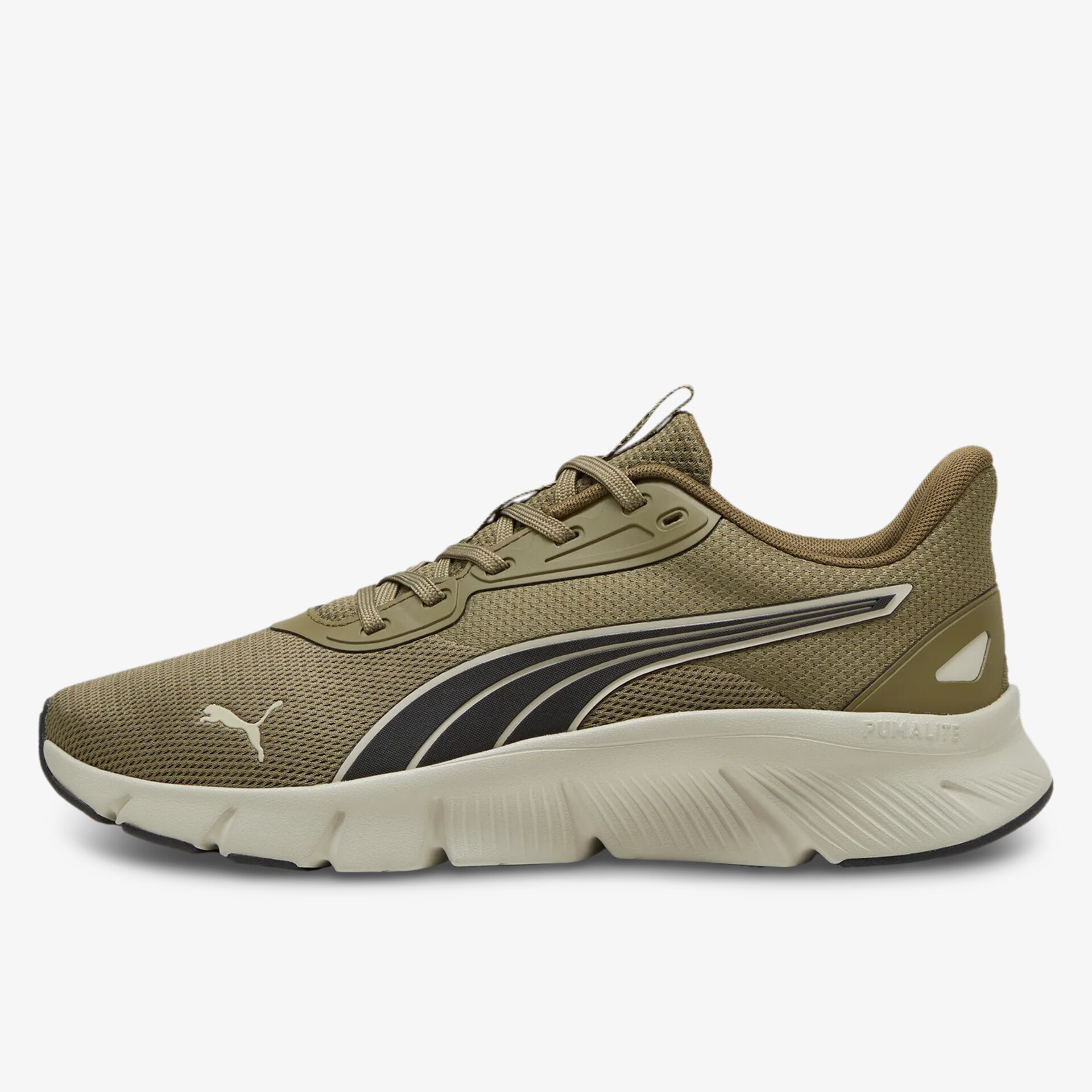 olive1