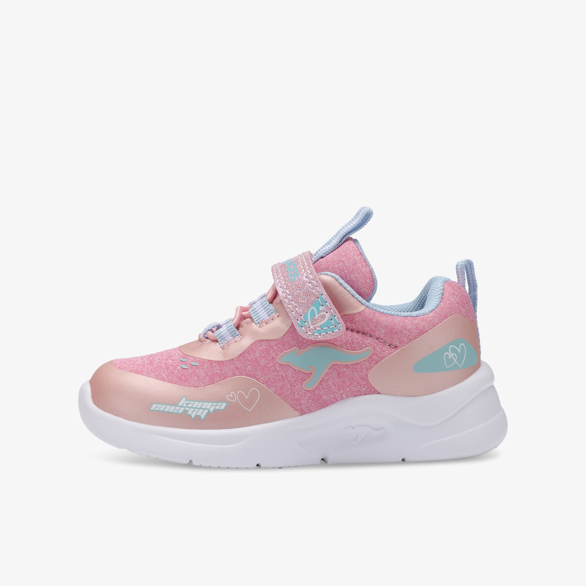 rosa1