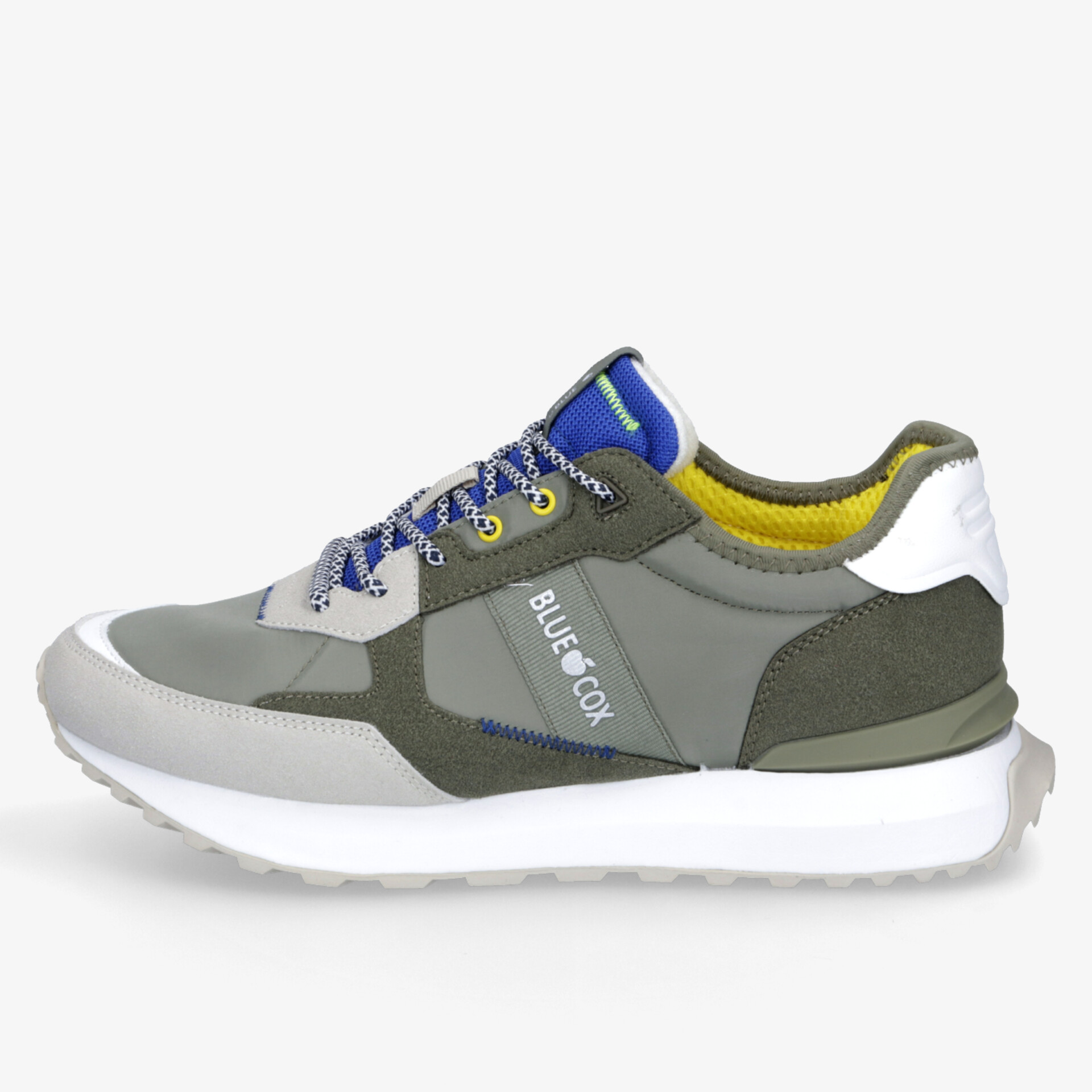 olive1