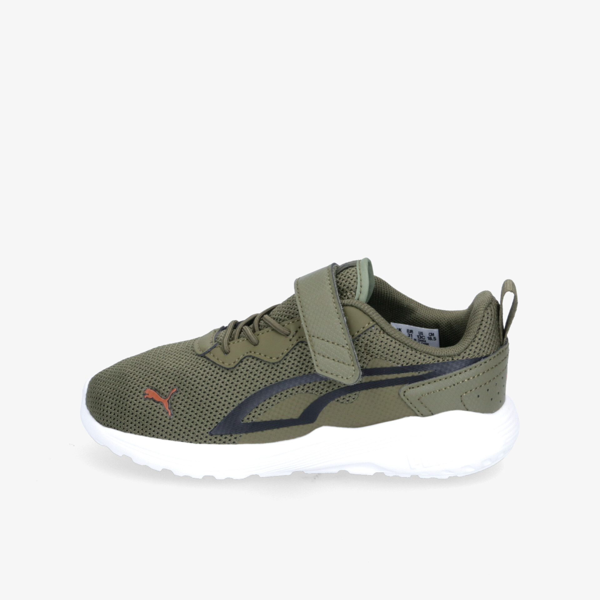 olive1