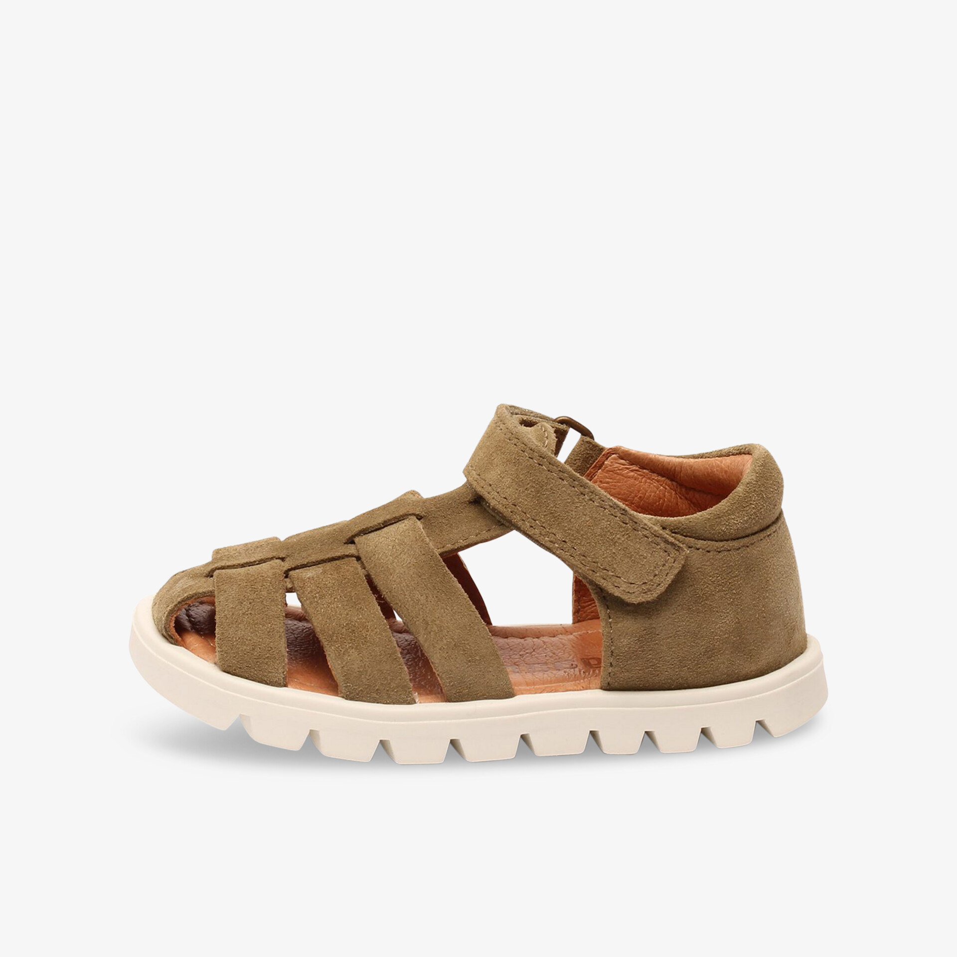 olive1