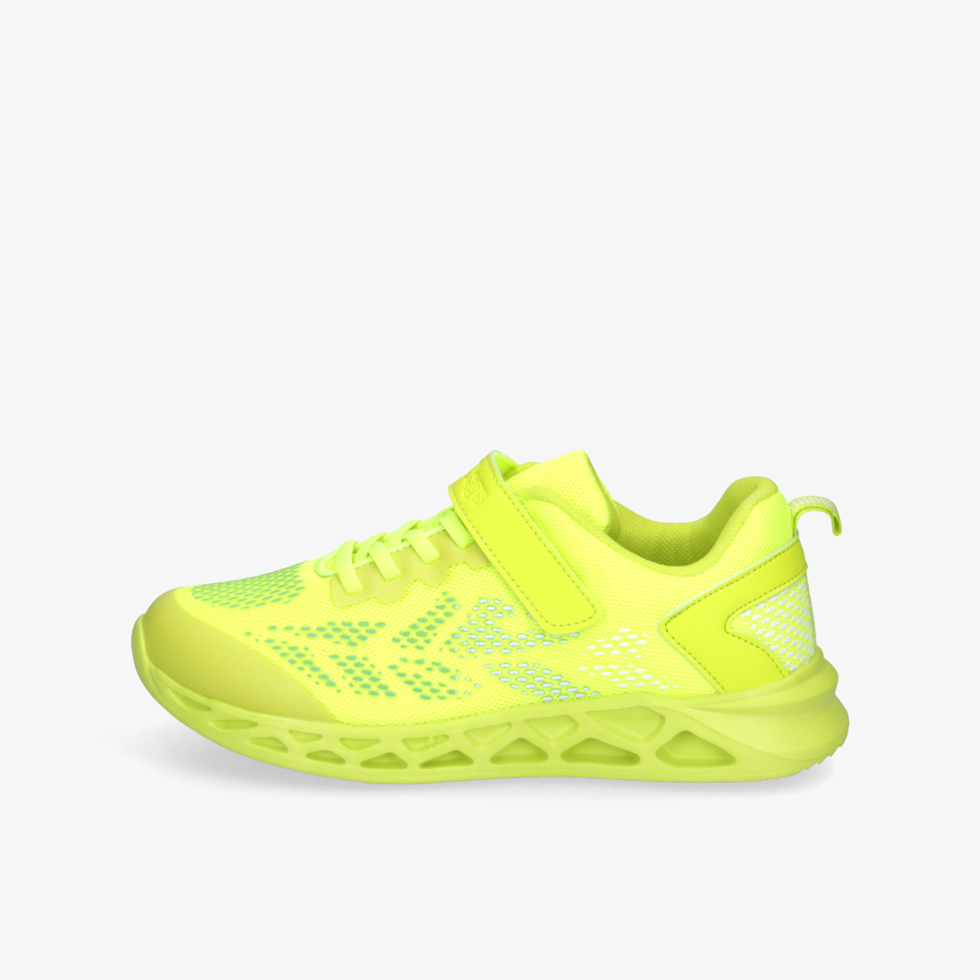 neon2