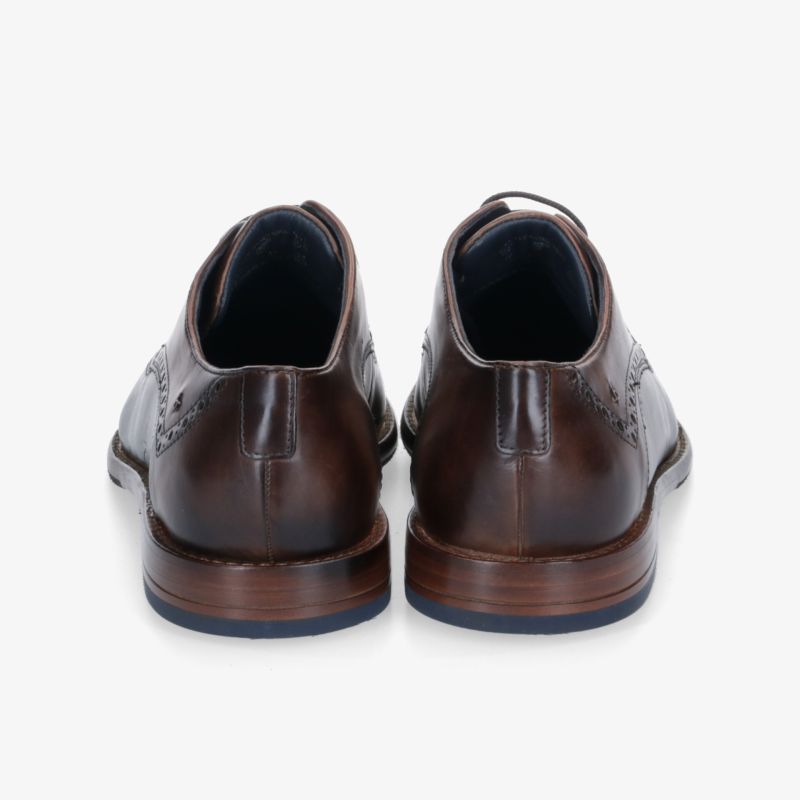 Klassische braune Lederschuhe mit eleganter Verarbeitung und hochwertigem Design, perfekte Wahl für stilvolle Anlässe.