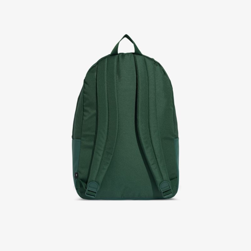 Robuster grüner Rucksack mit gepolsterten Schultergurten und praktischem Tragegriff von hinten gesehen