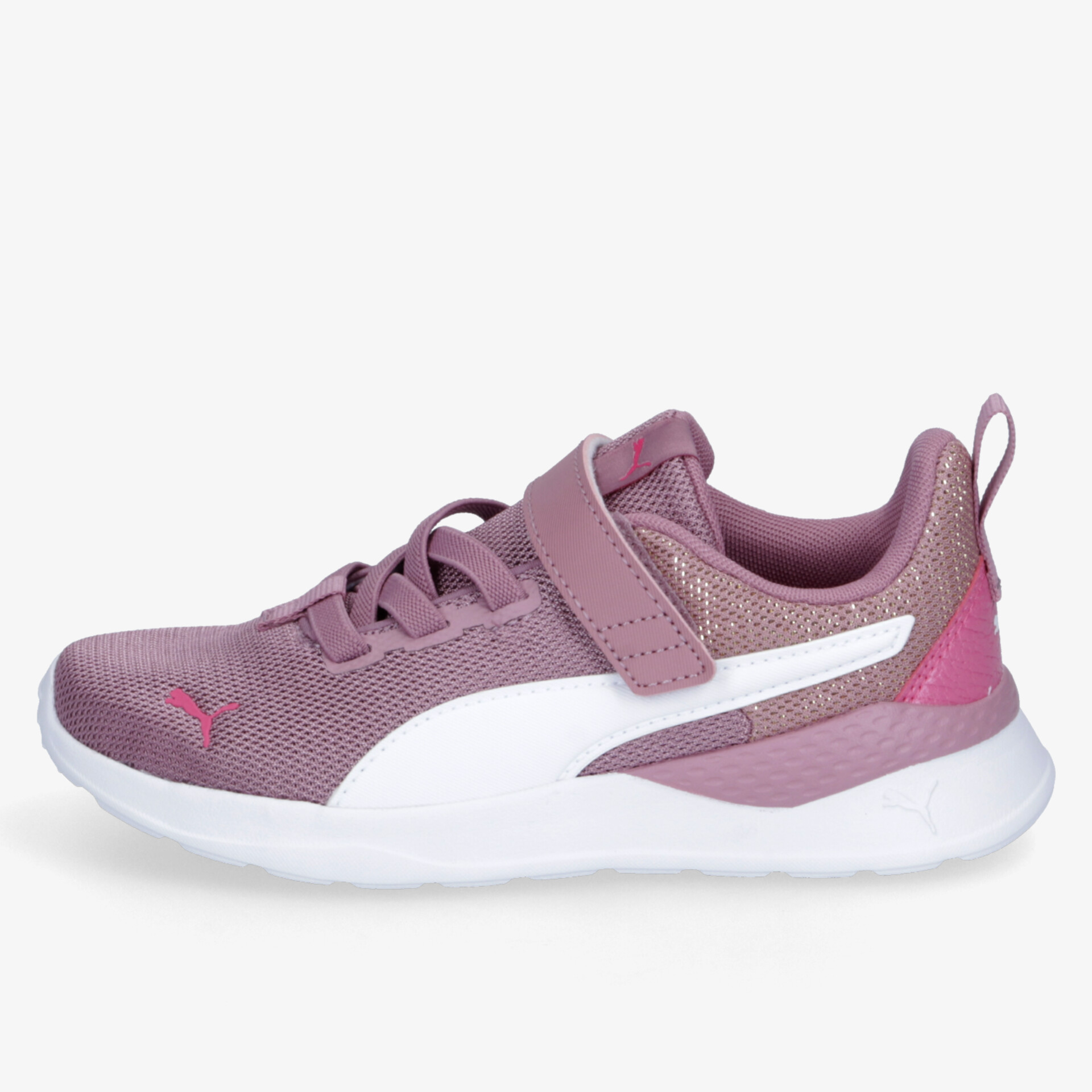 rosa1