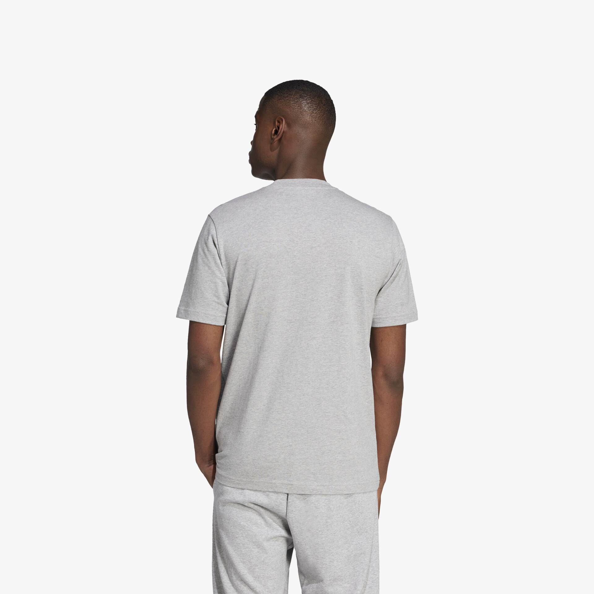 Graues T-Shirt mit kurzem Ärmel in Rückansicht, bequemer Schnitt und leichter Stoff, ideal für den Alltag