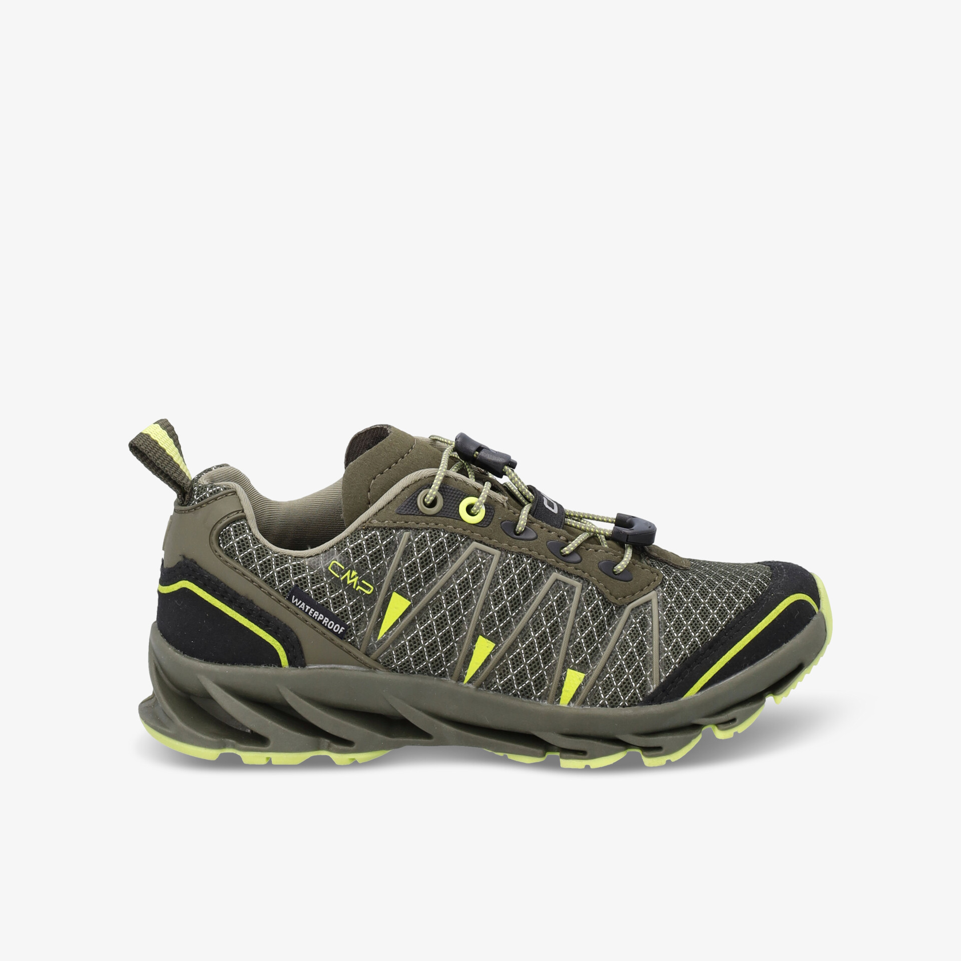 olive1
