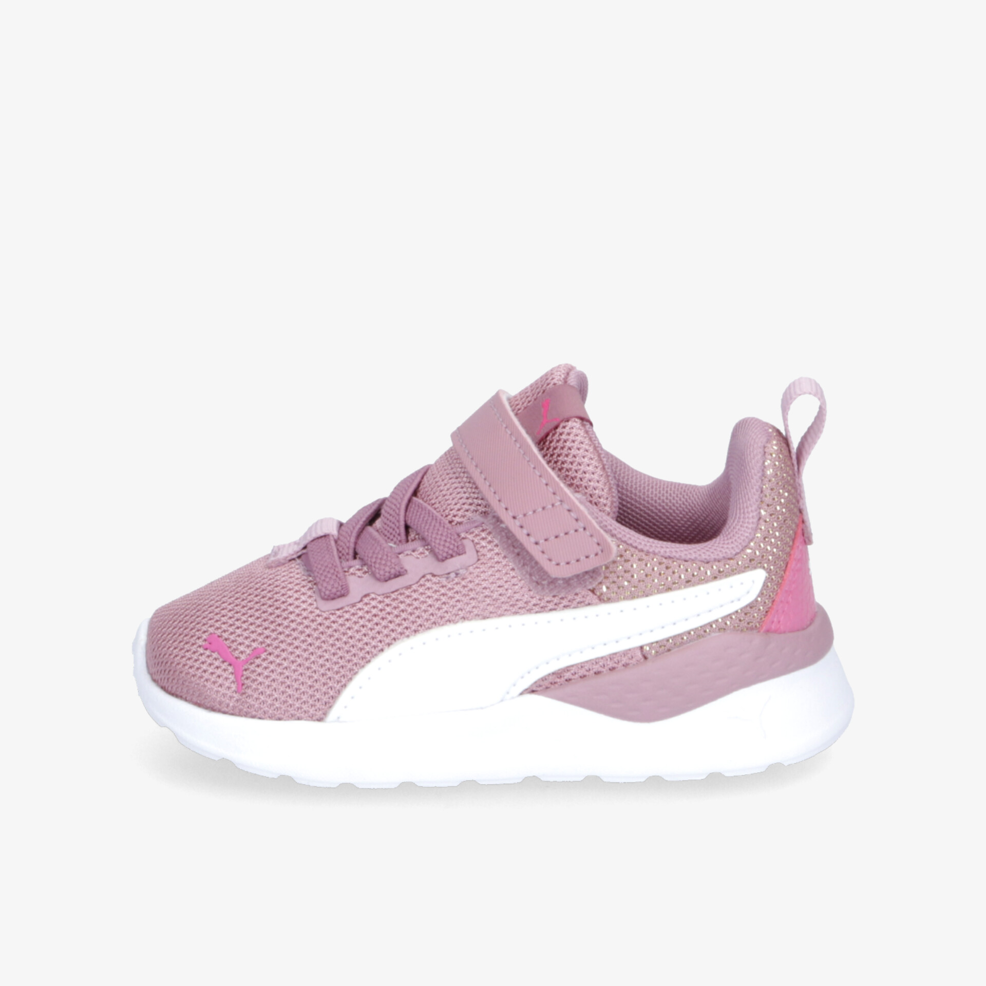 rosa2