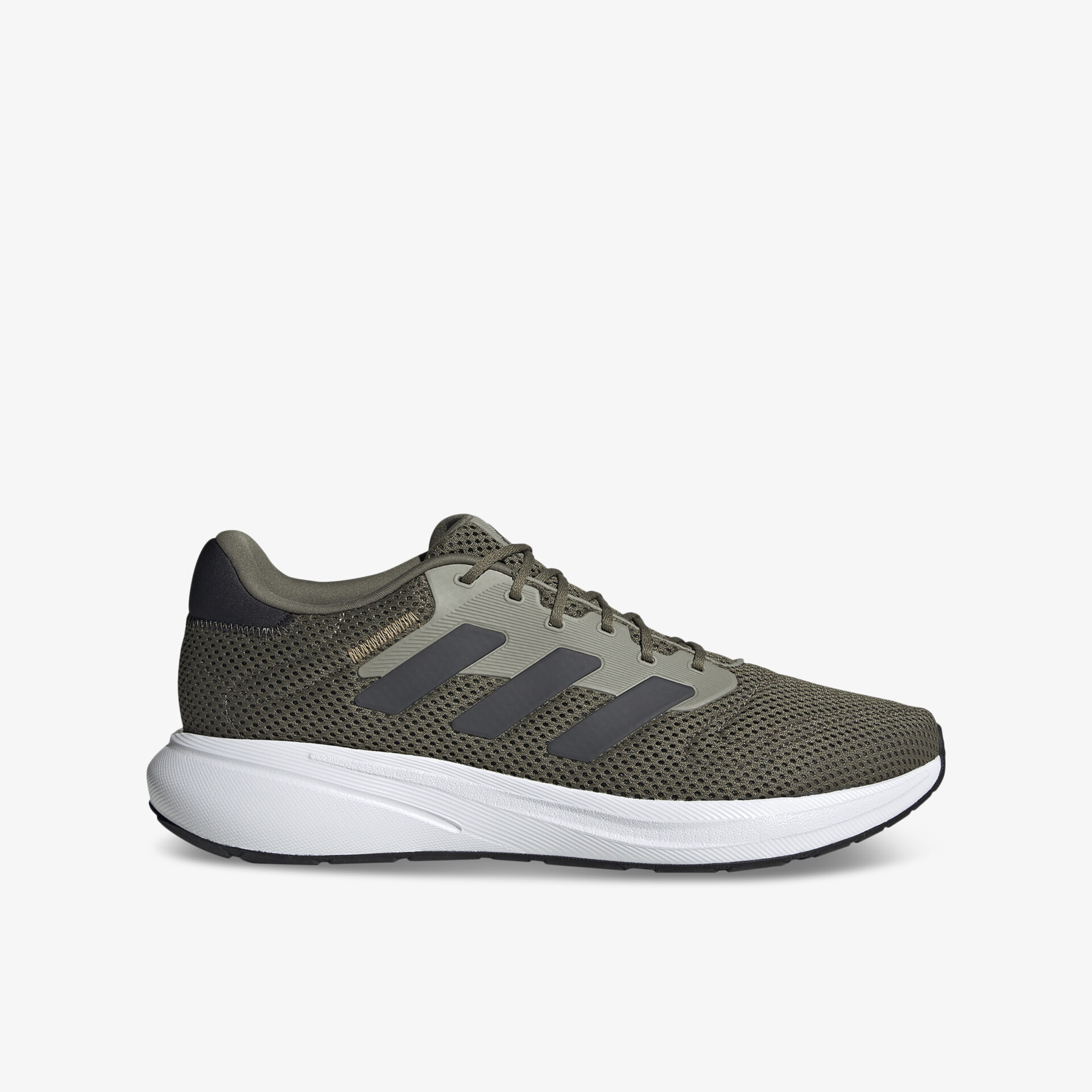 olive1