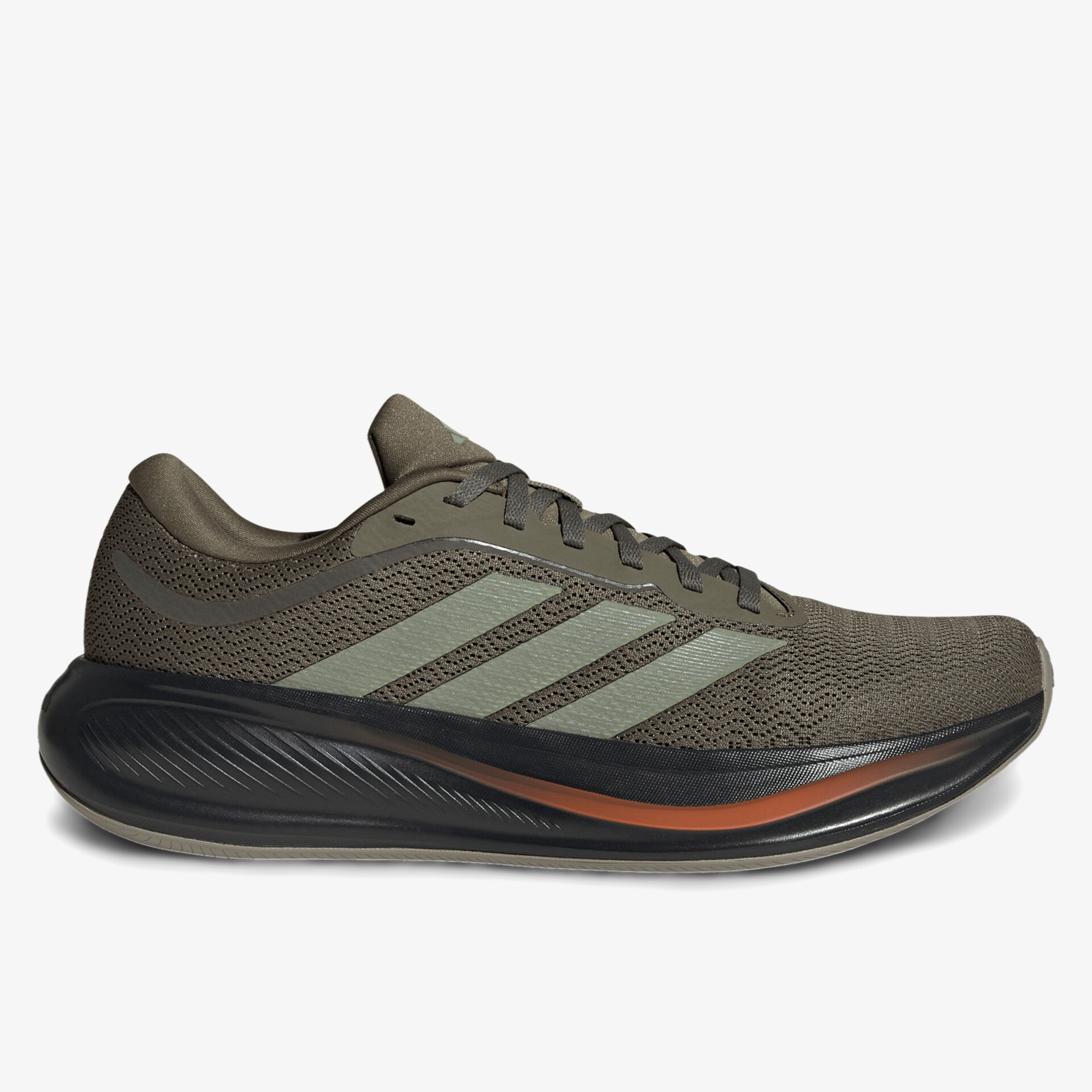 olive1