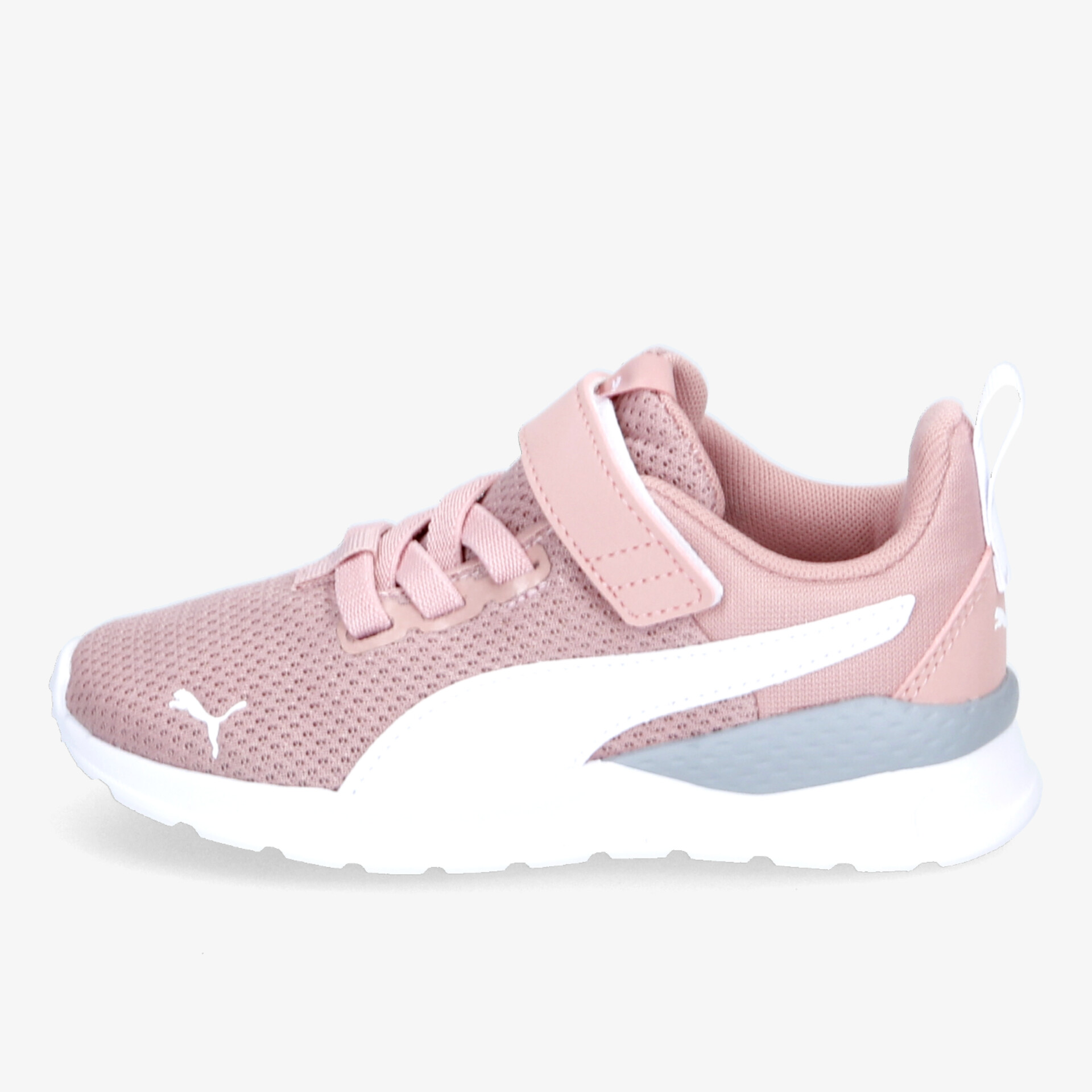 rosa1