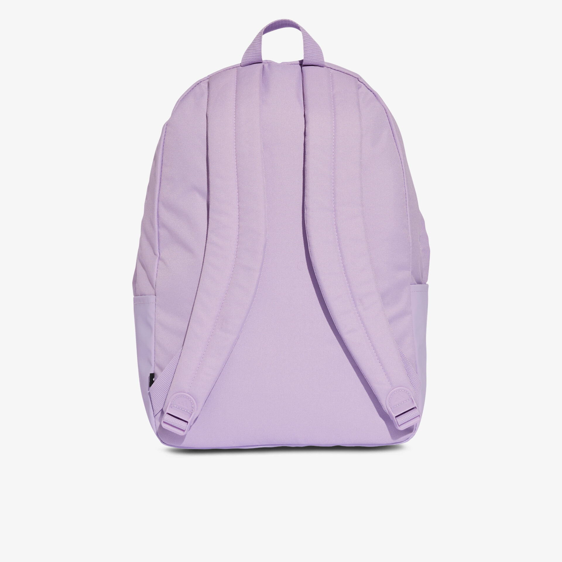 Moderner lila Rucksack mit gepolsterten Trägern für bequemen, praktischen und robusten Gebrauch