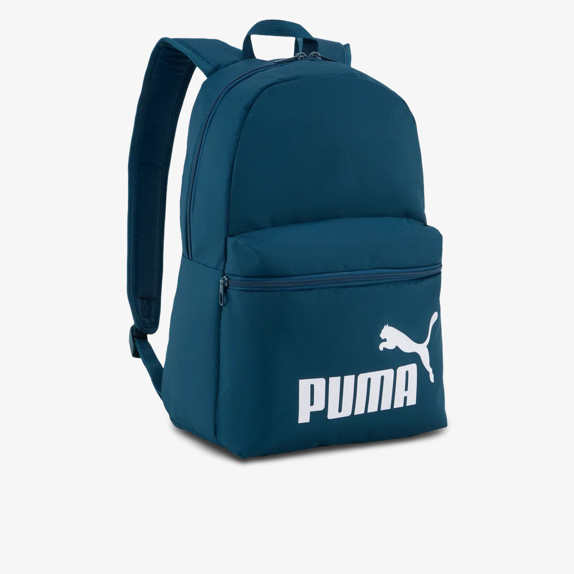 petrol1