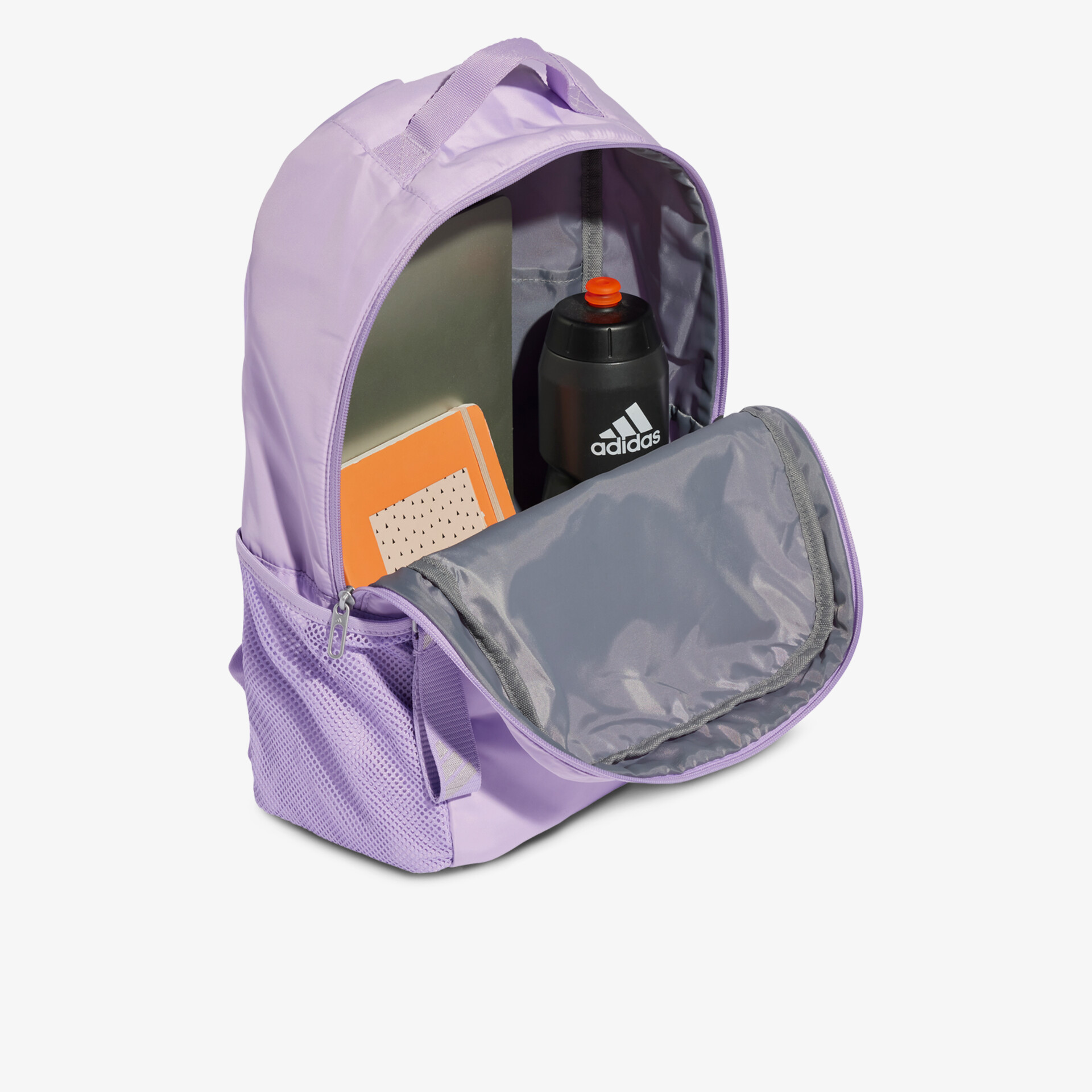 Moderner lila Rucksack mit geräumigem Hauptfach, leichtem Material und praktischem Frontfach für Alltag