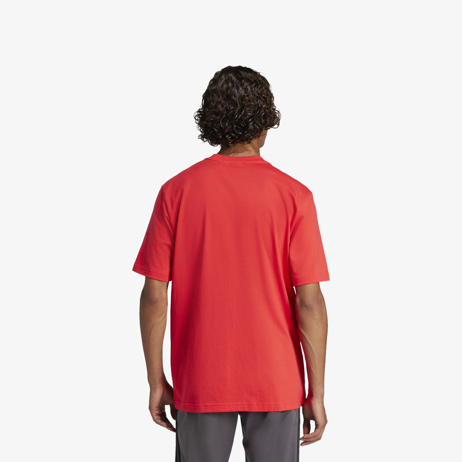 Rotes T-Shirt mit kurzärmligem, bequemem Schnitt und leichter Stoffstruktur in klarer Rückenansicht