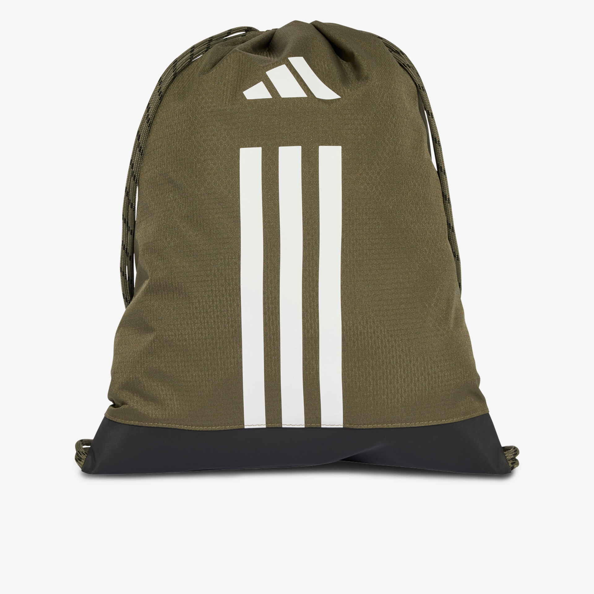 olive2