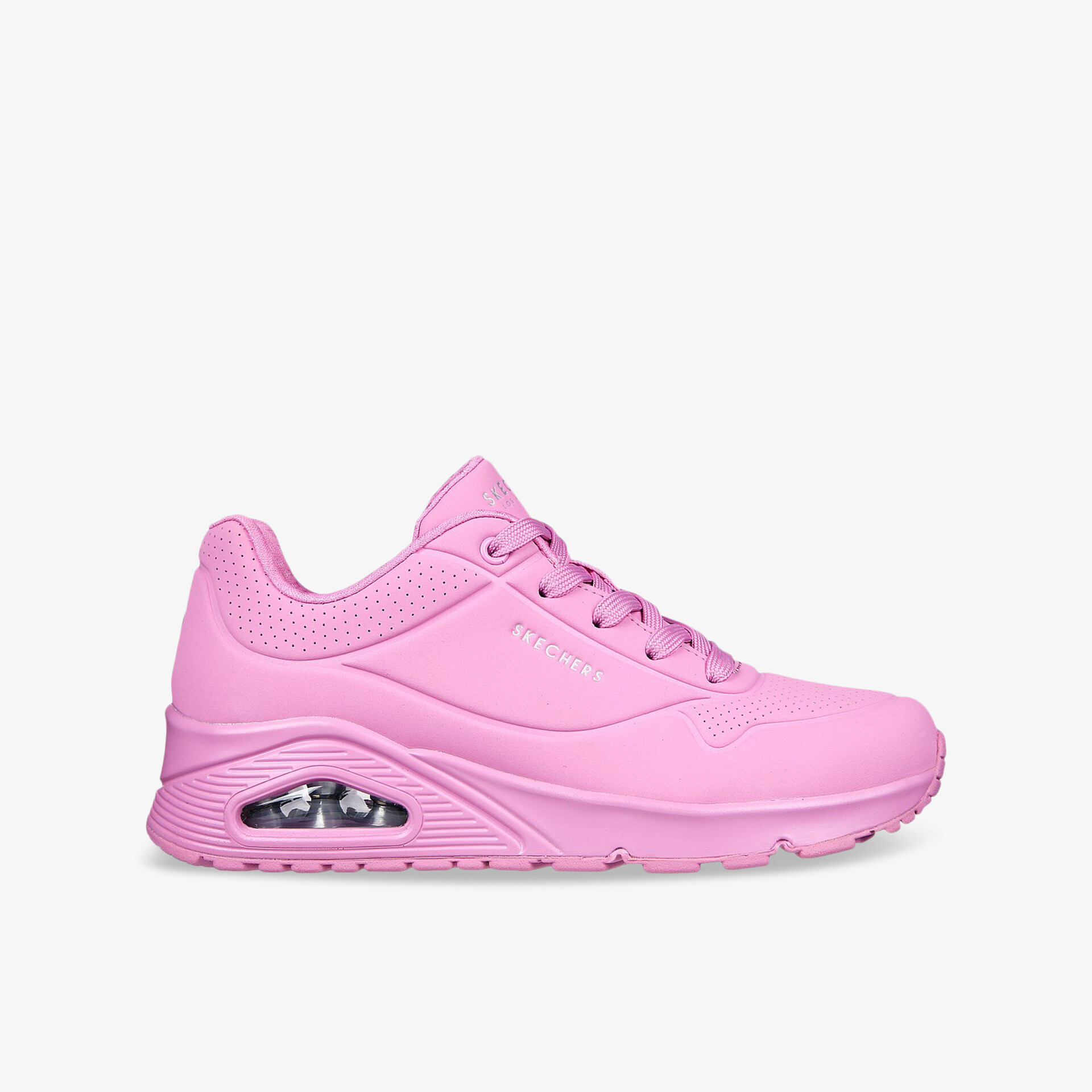 rosa1