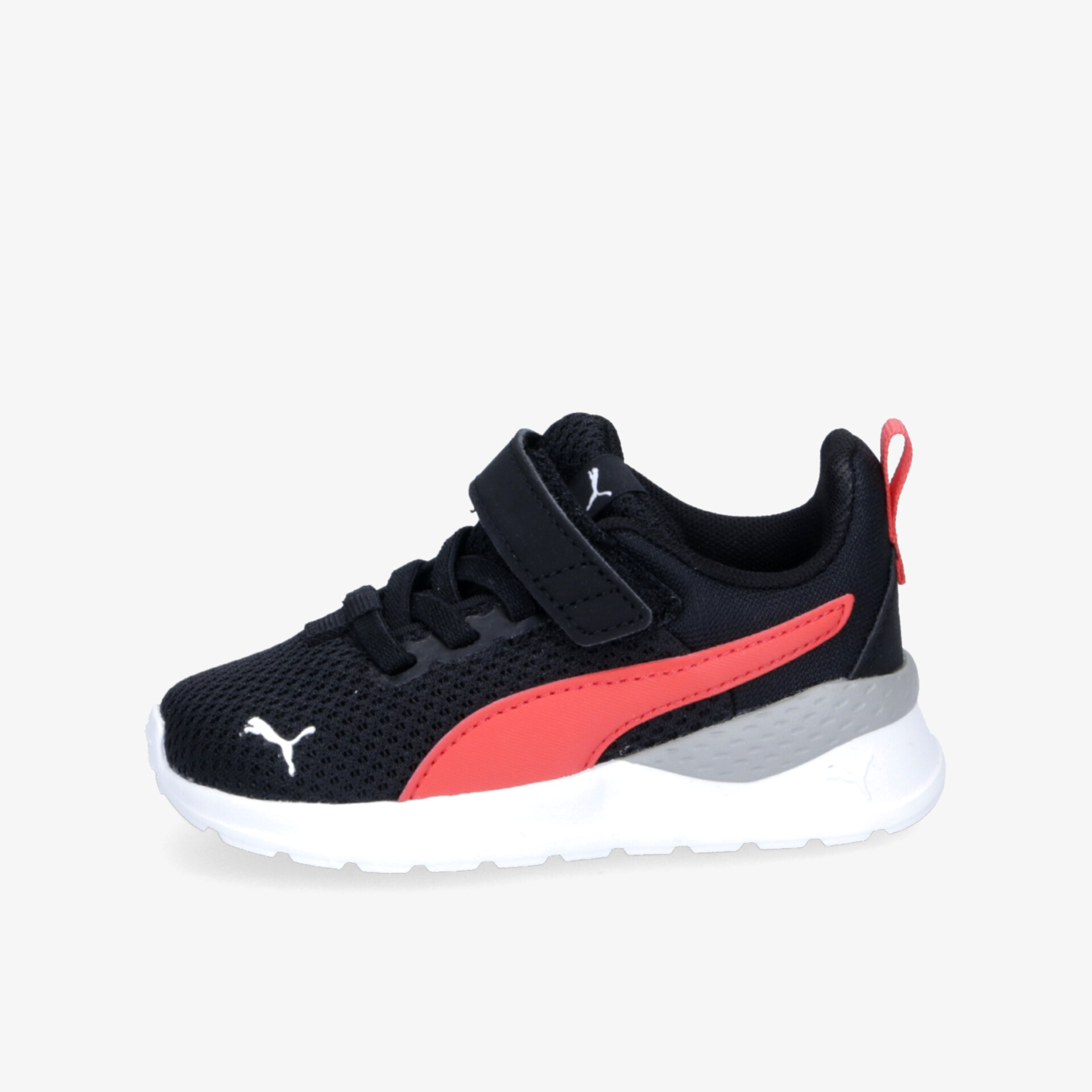 schwarz1