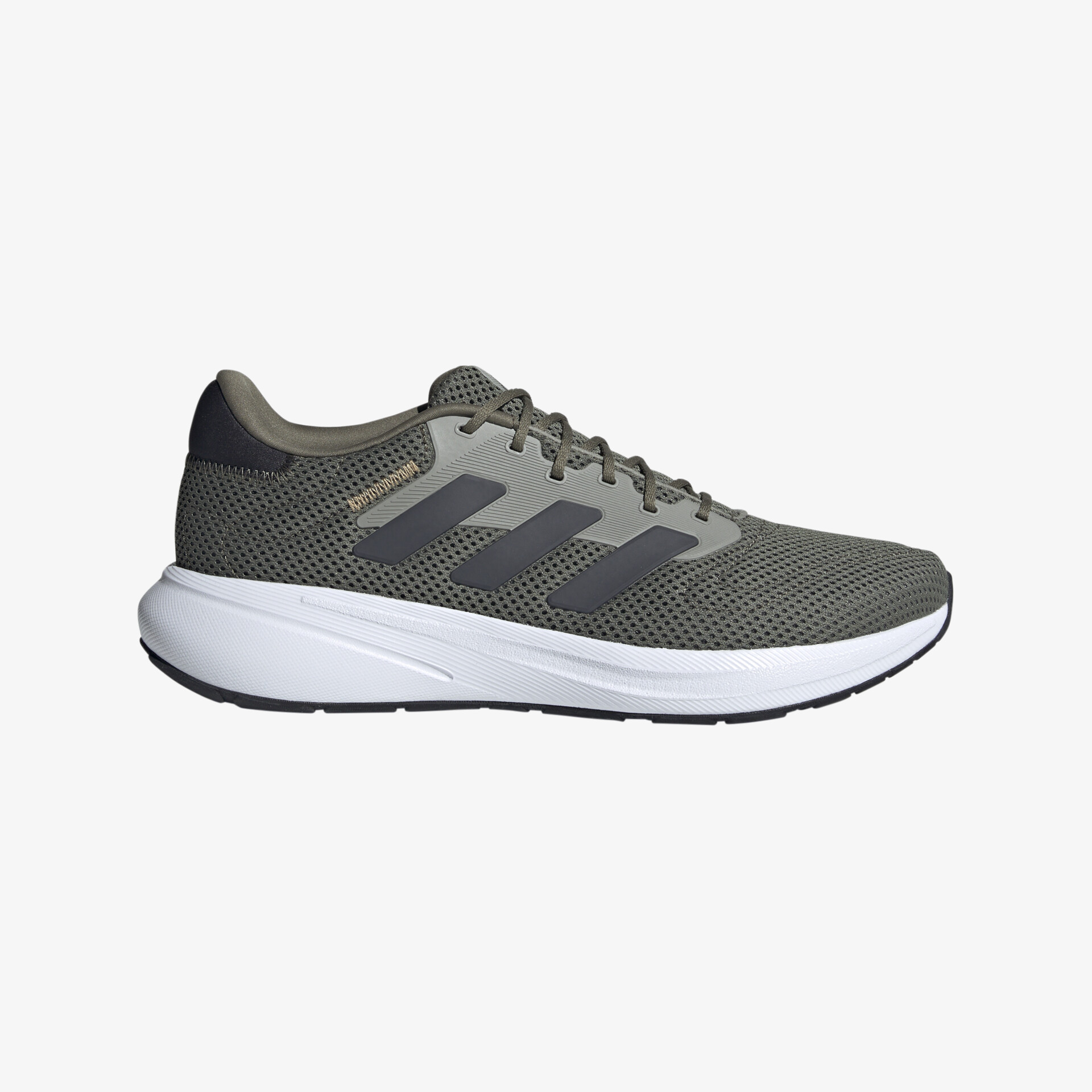 olive1