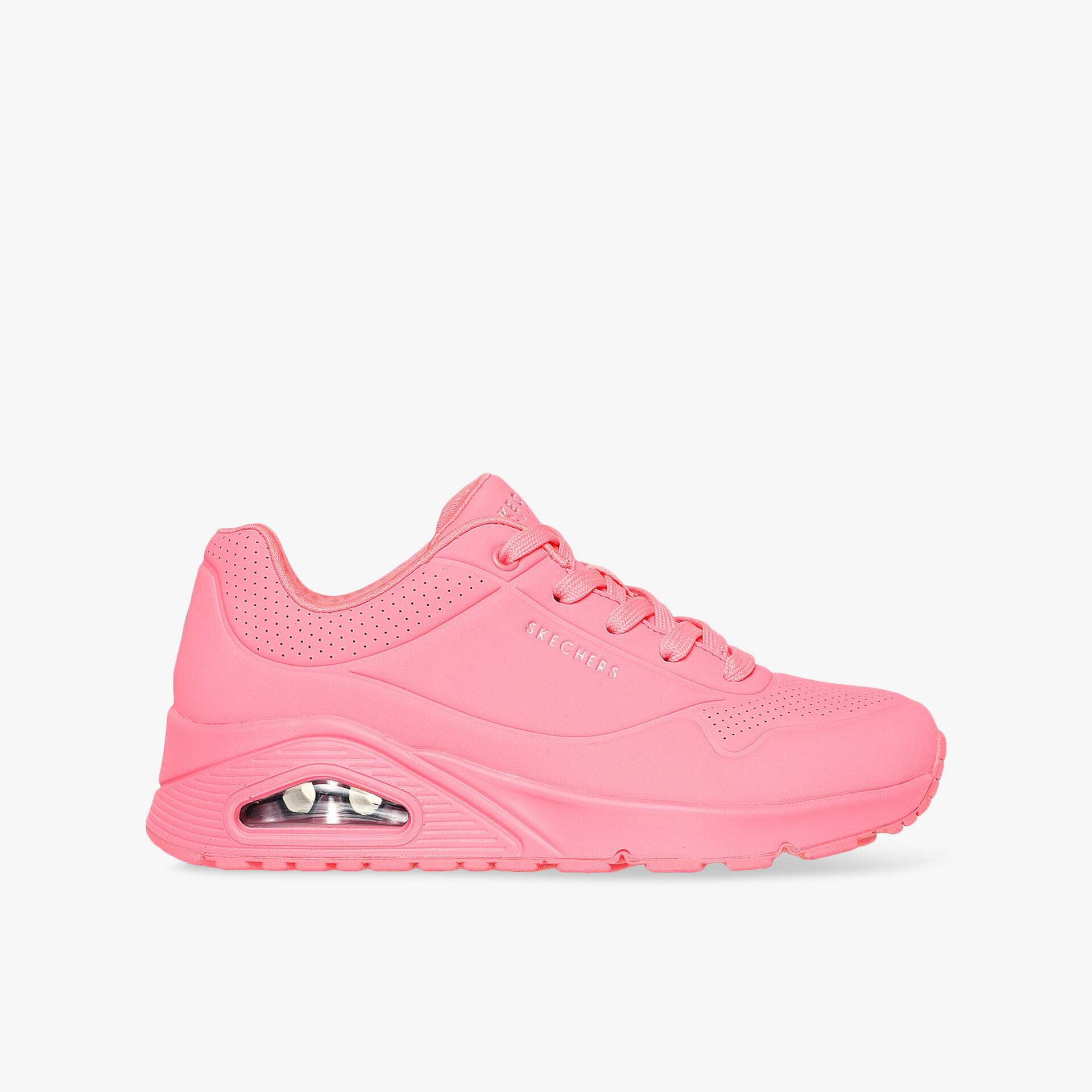 rosa2