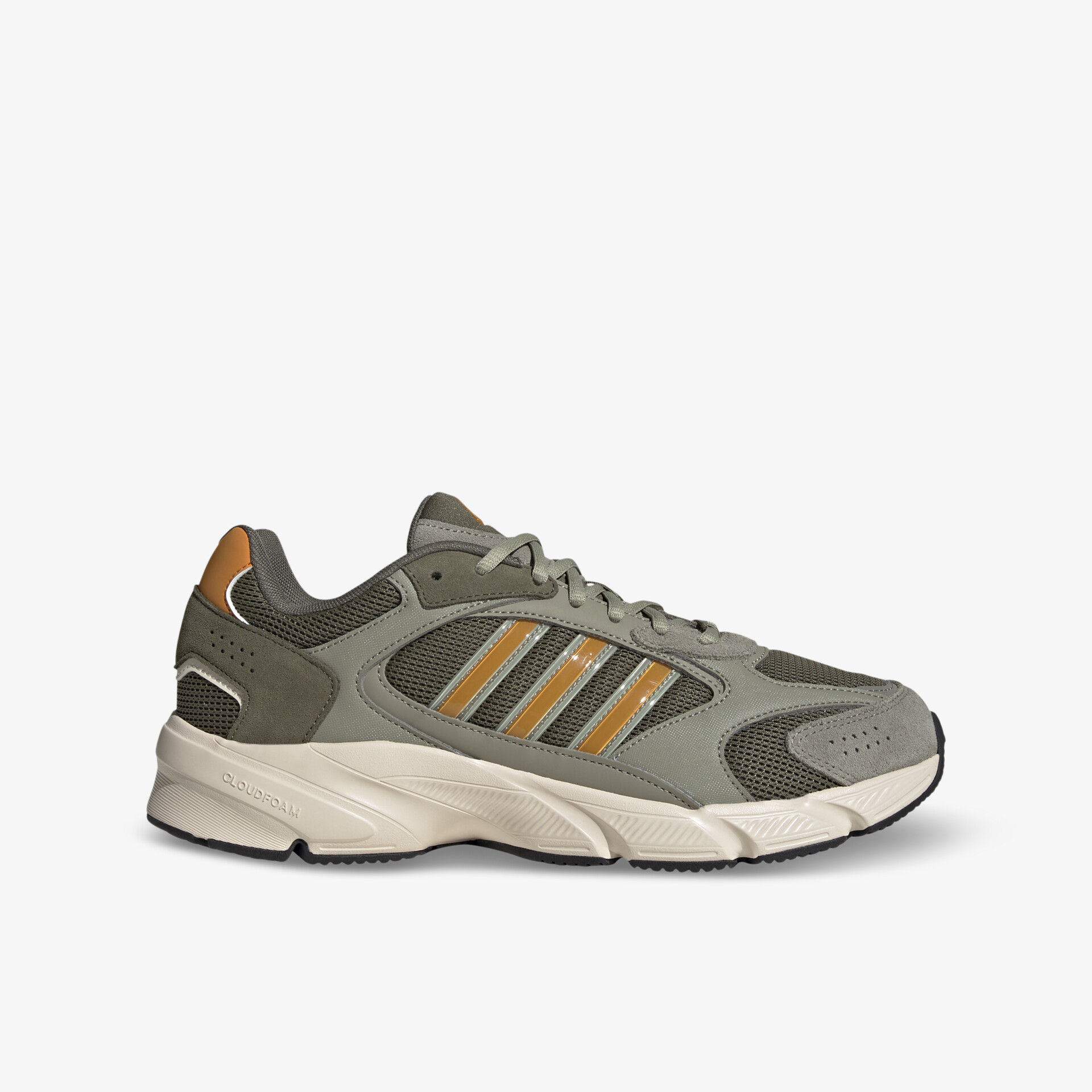 olive1
