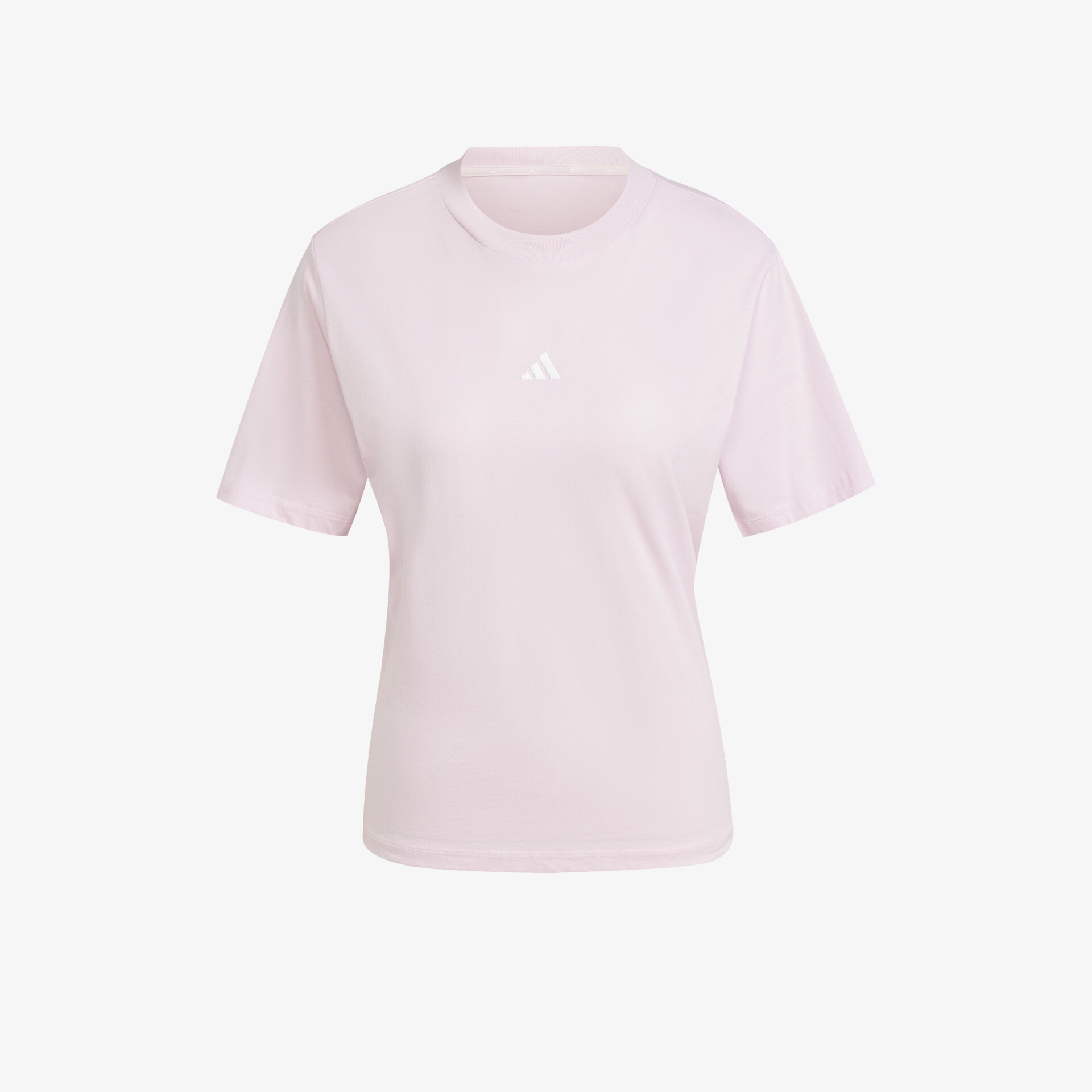 rosa1