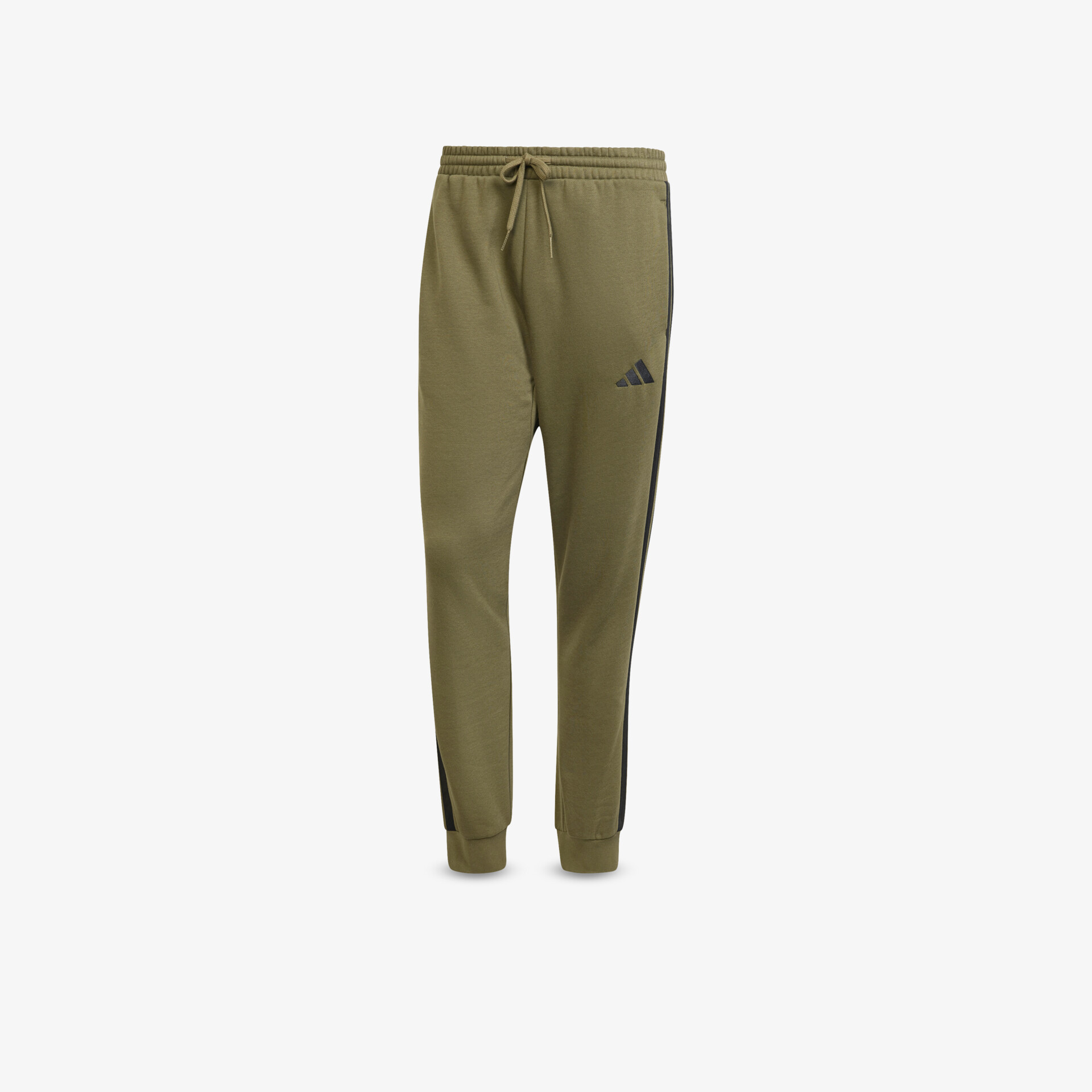 olive1