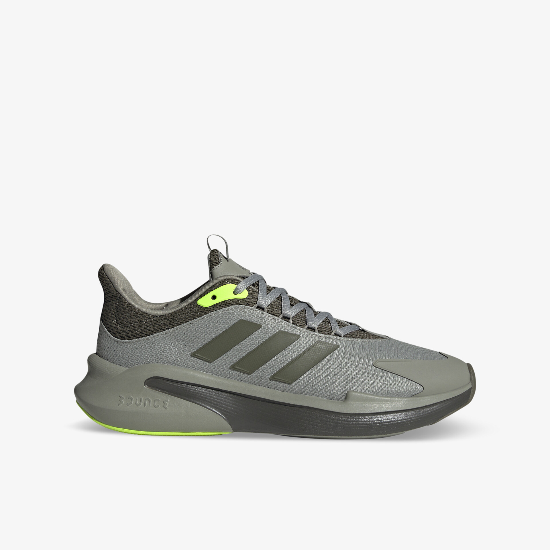 olive1