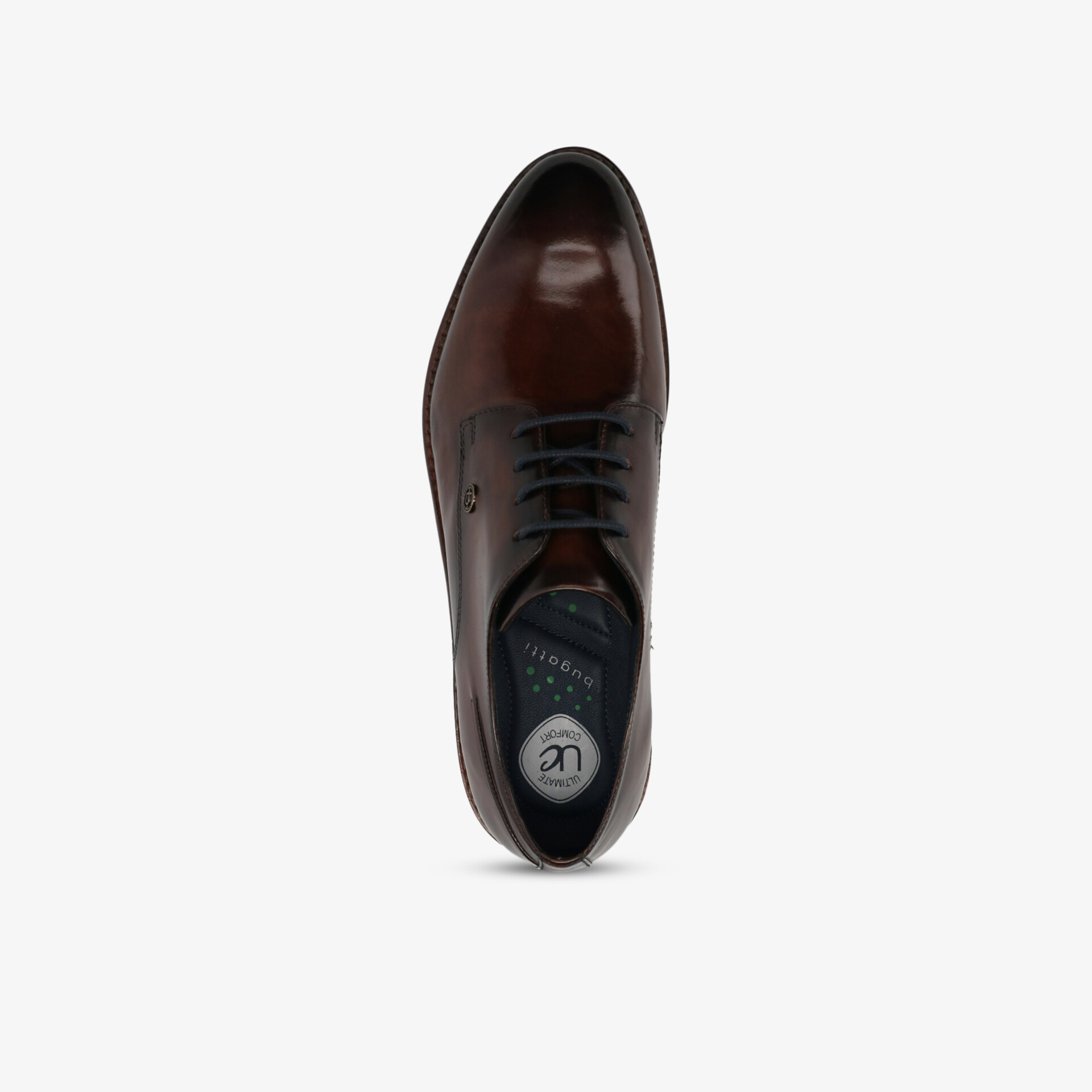 Elegante braune Lederschuhe mit Schnürung in klassischem, zeitlosem Design aus hochwertigem Material.