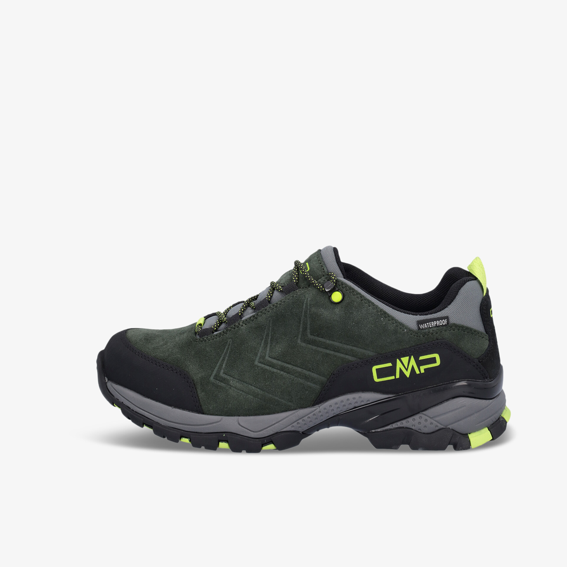 olive1