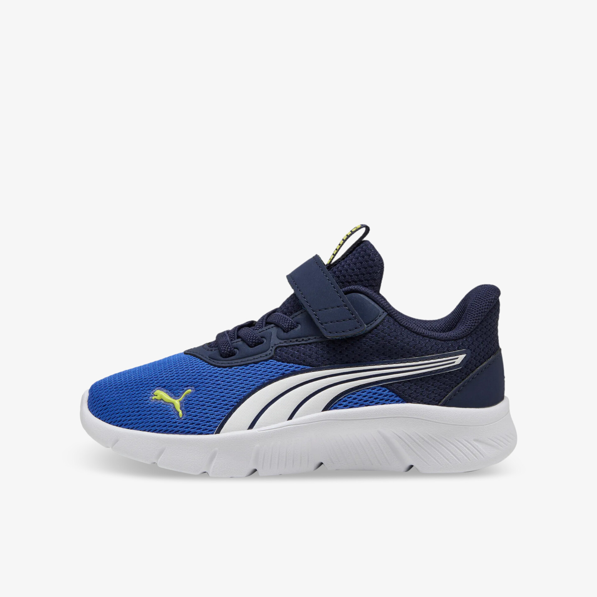 blau1