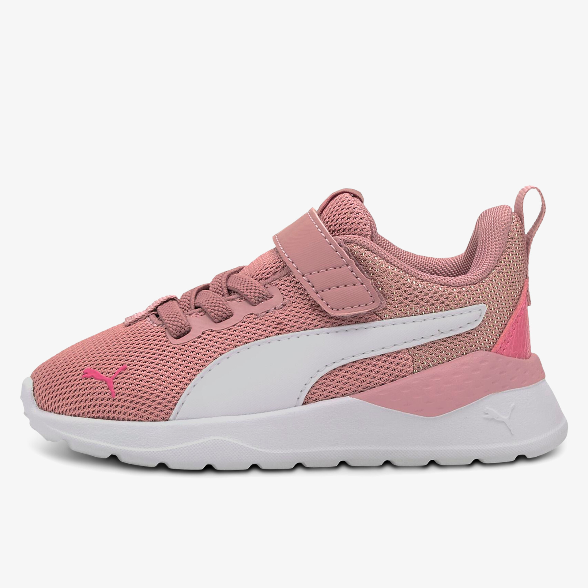 rosa1