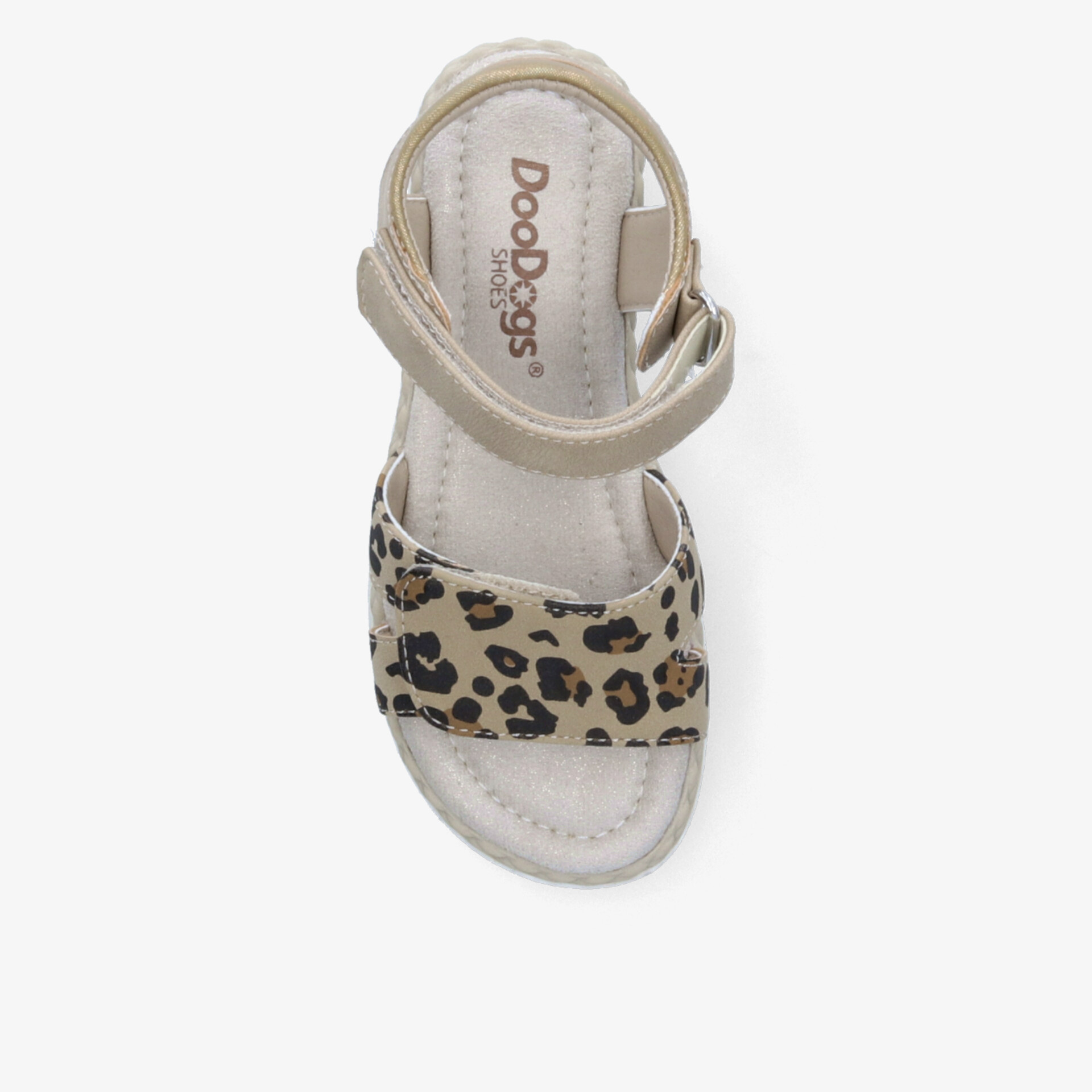 Bequeme Sandale mit gepolstertem Fußbett und verstellbarem Riemen, modisch im Leopardenmuster, Draufsicht