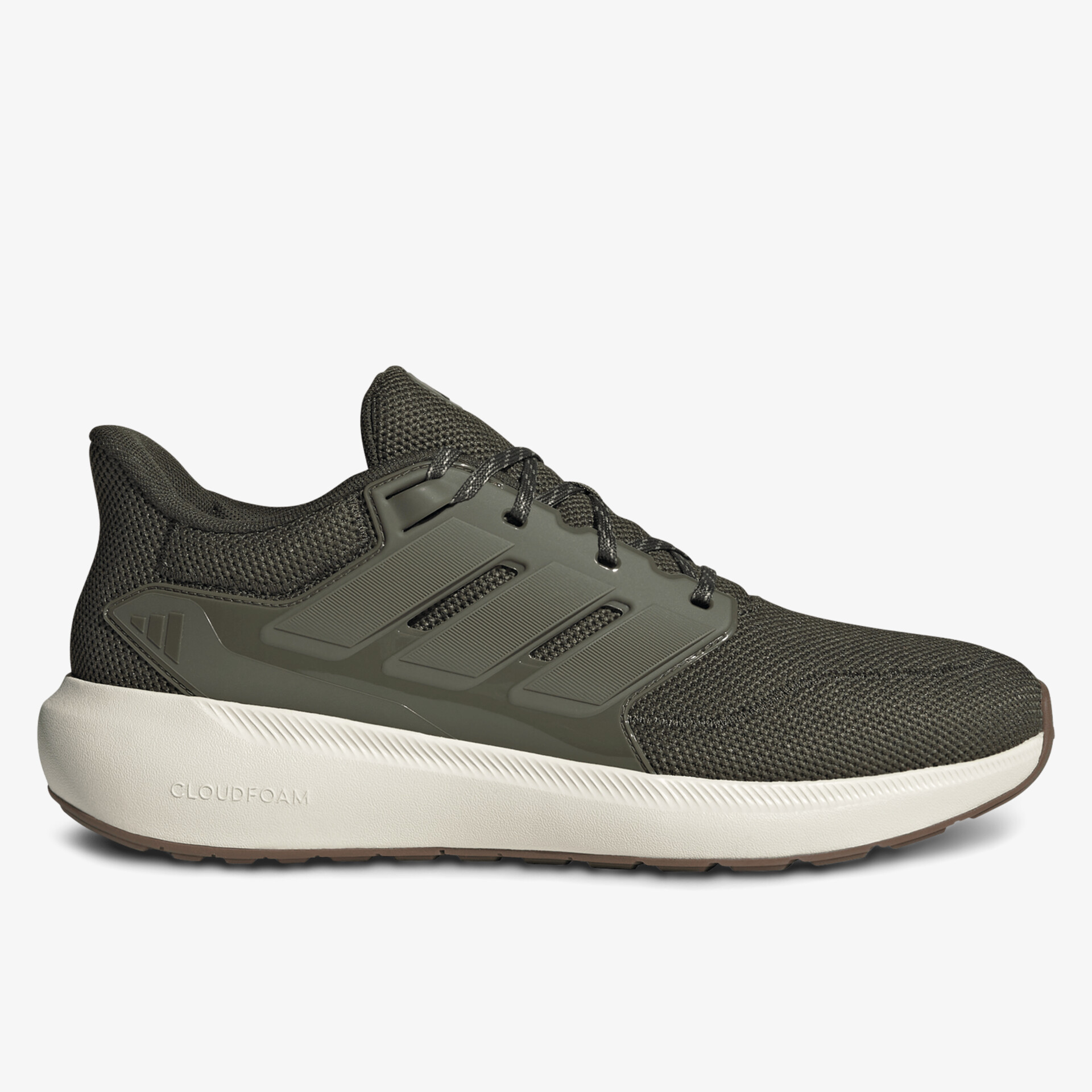 olive1