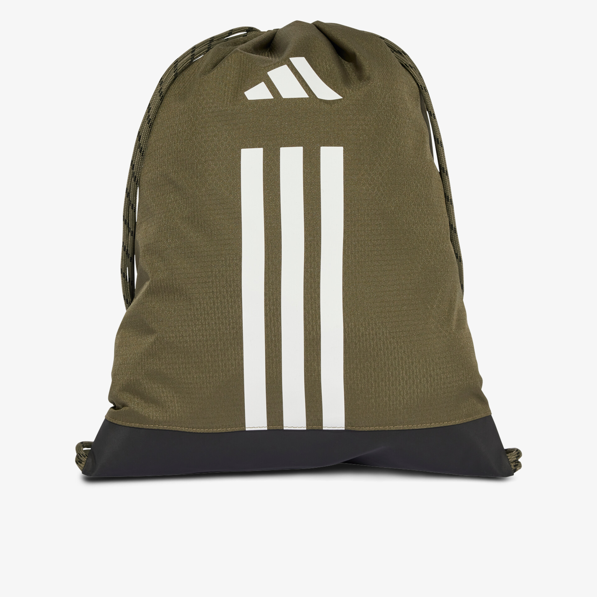 olive1