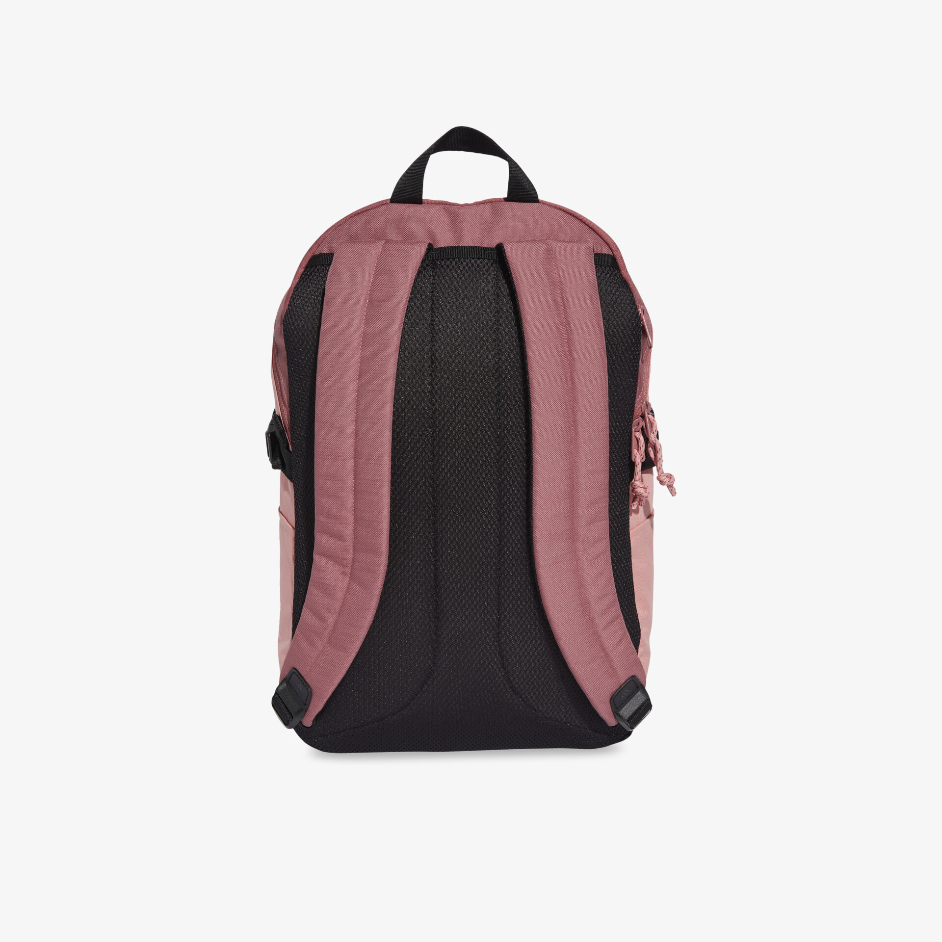 Robuster Rucksack mit gepolsterten Schultergurten und stabilem Griff in moderner Farbkombination