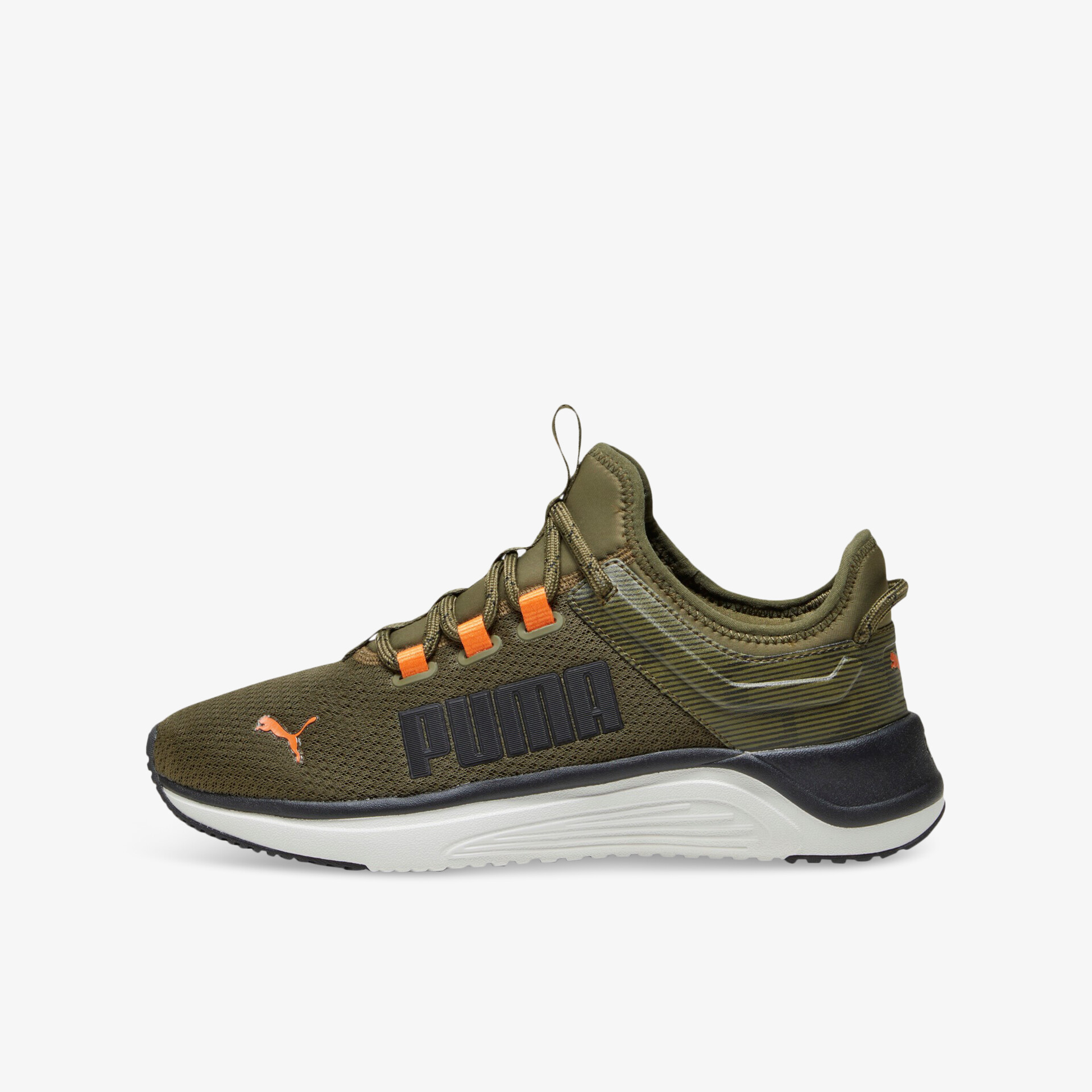 olive1