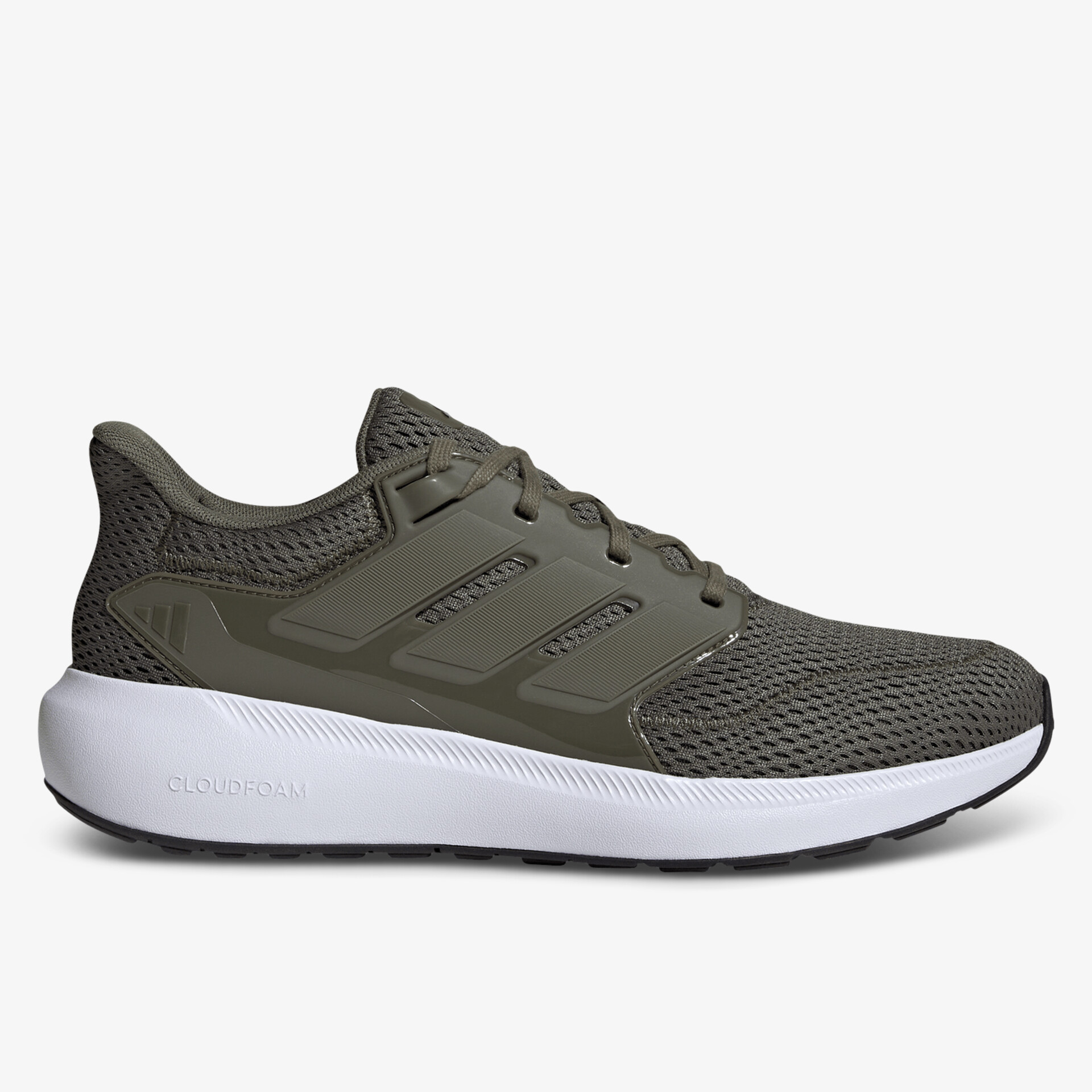 olive1
