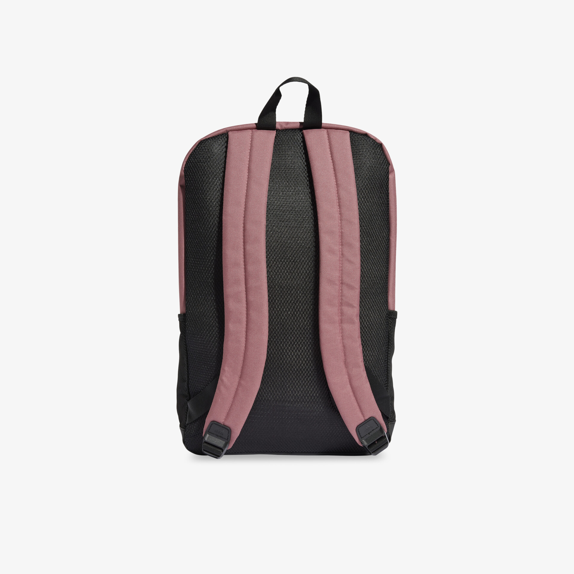 Rucksack Rückansicht mit gepolsterten Trägern und praktischer Schlaufe, robust und komfortabel