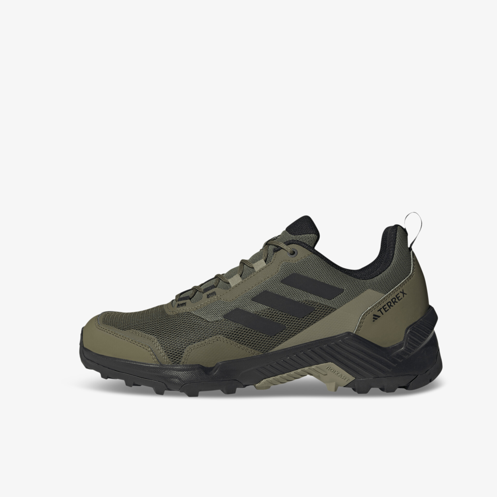 olive1