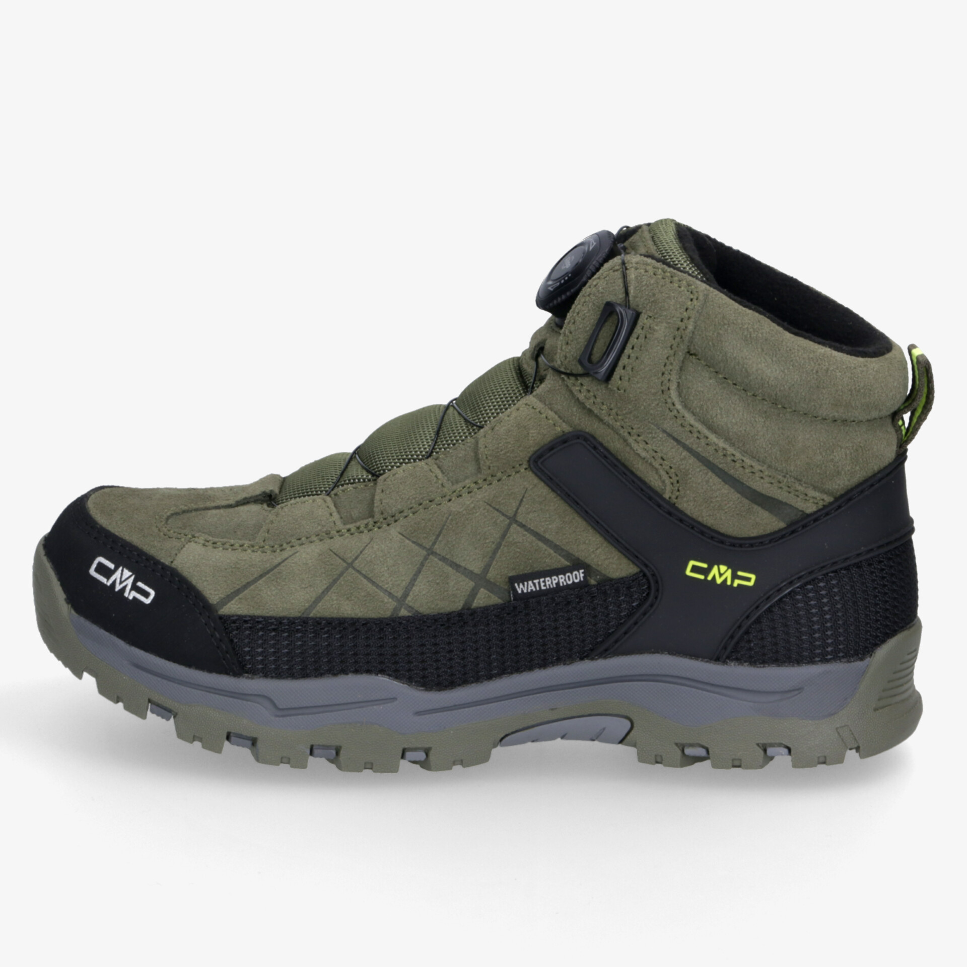olive1
