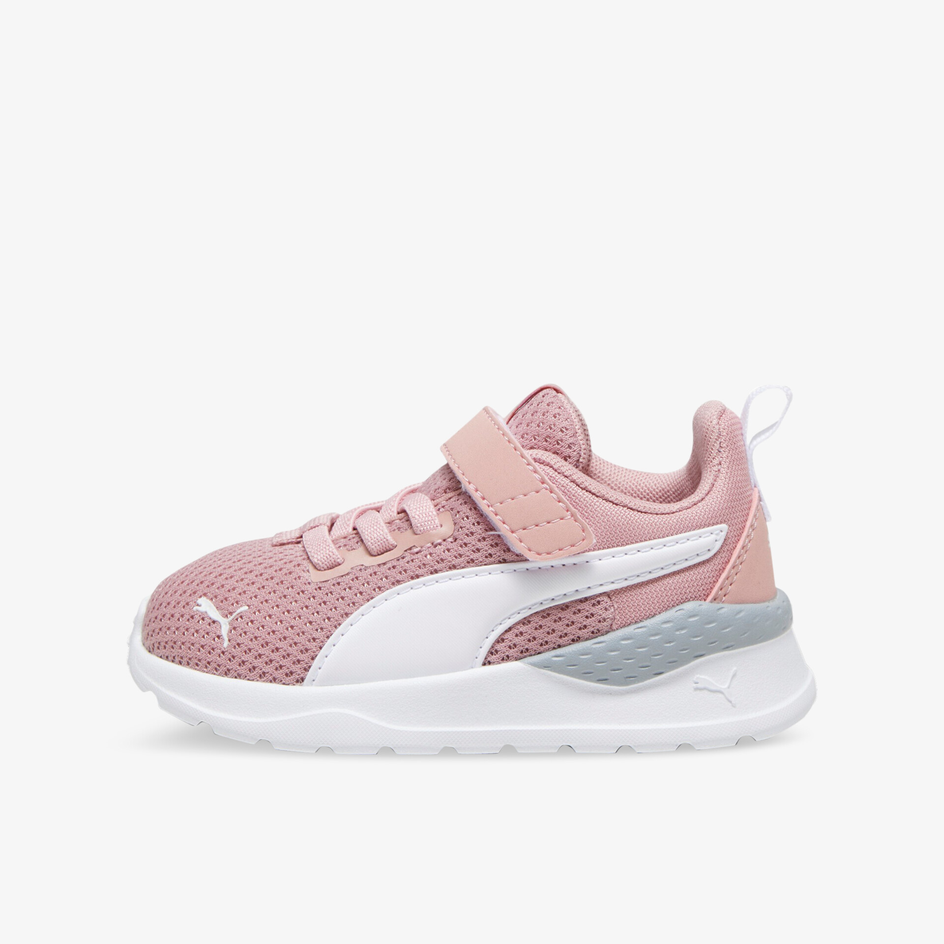 rosa1