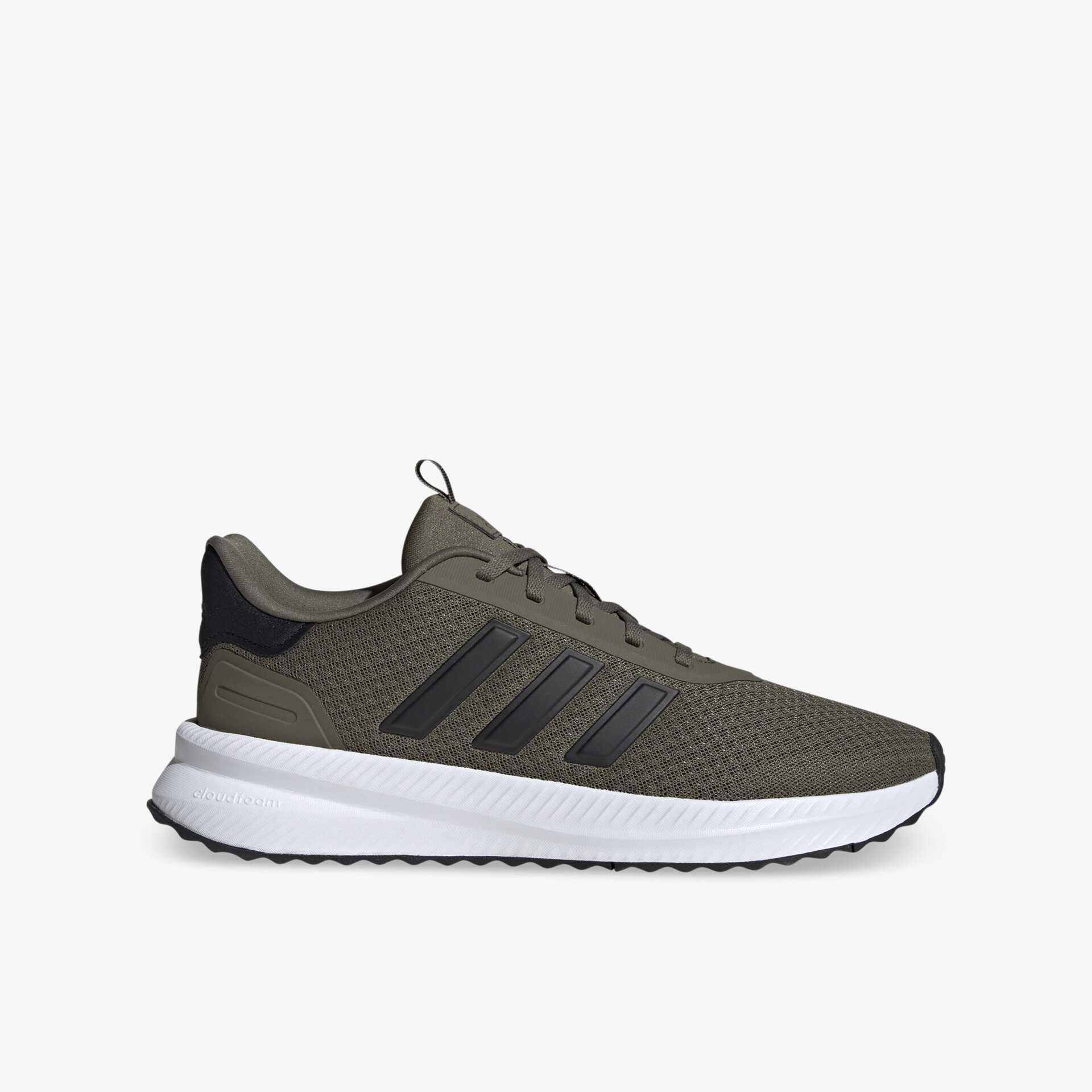 olive1