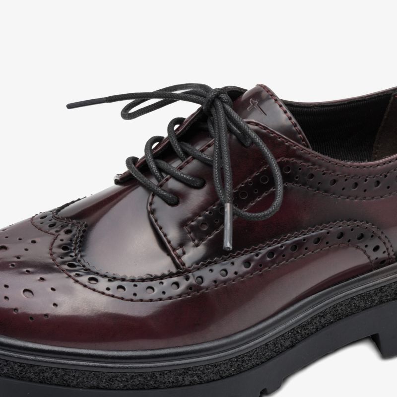 Eleganter Lederschuh mit markanter Schnürung und klassischem Design, hochwertig verarbeitet und komfortabel