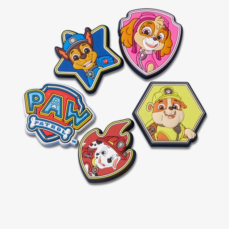 Der Satz enthält bunte Paw Patrol Abzeichen mit verschiedenen Charakteren.