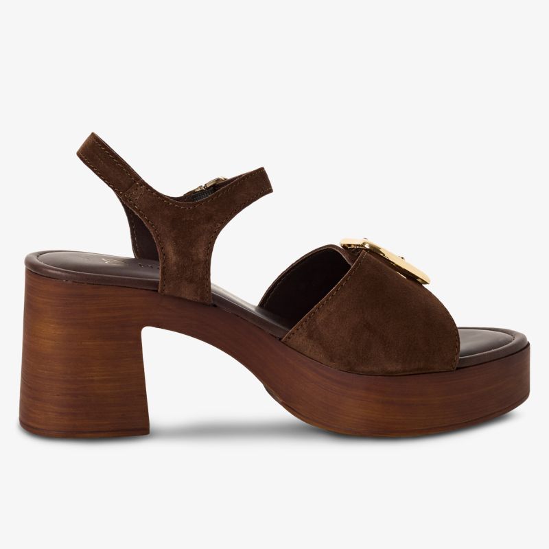 Stylish brown suede high heel sandal with block heel and ankle strap featuring a gold buckle