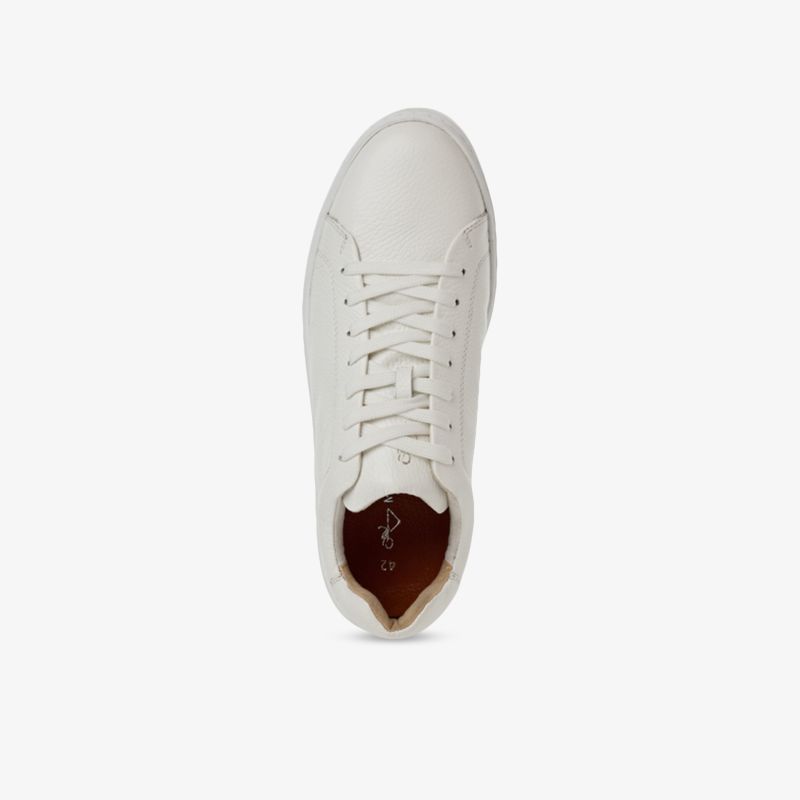 Weißer Sneaker mit Schnürsenkeln und glattem Material, sportlich und bequem, Draufsicht von oben